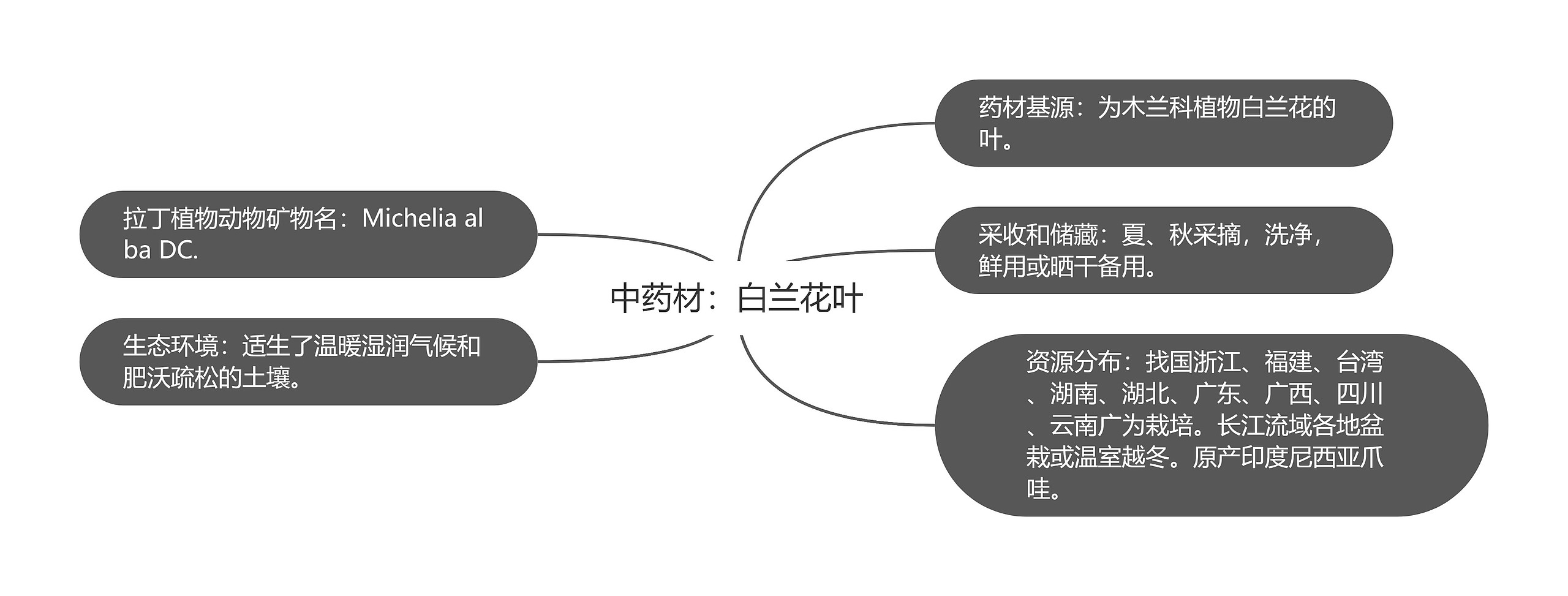 中药材：白兰花叶思维导图