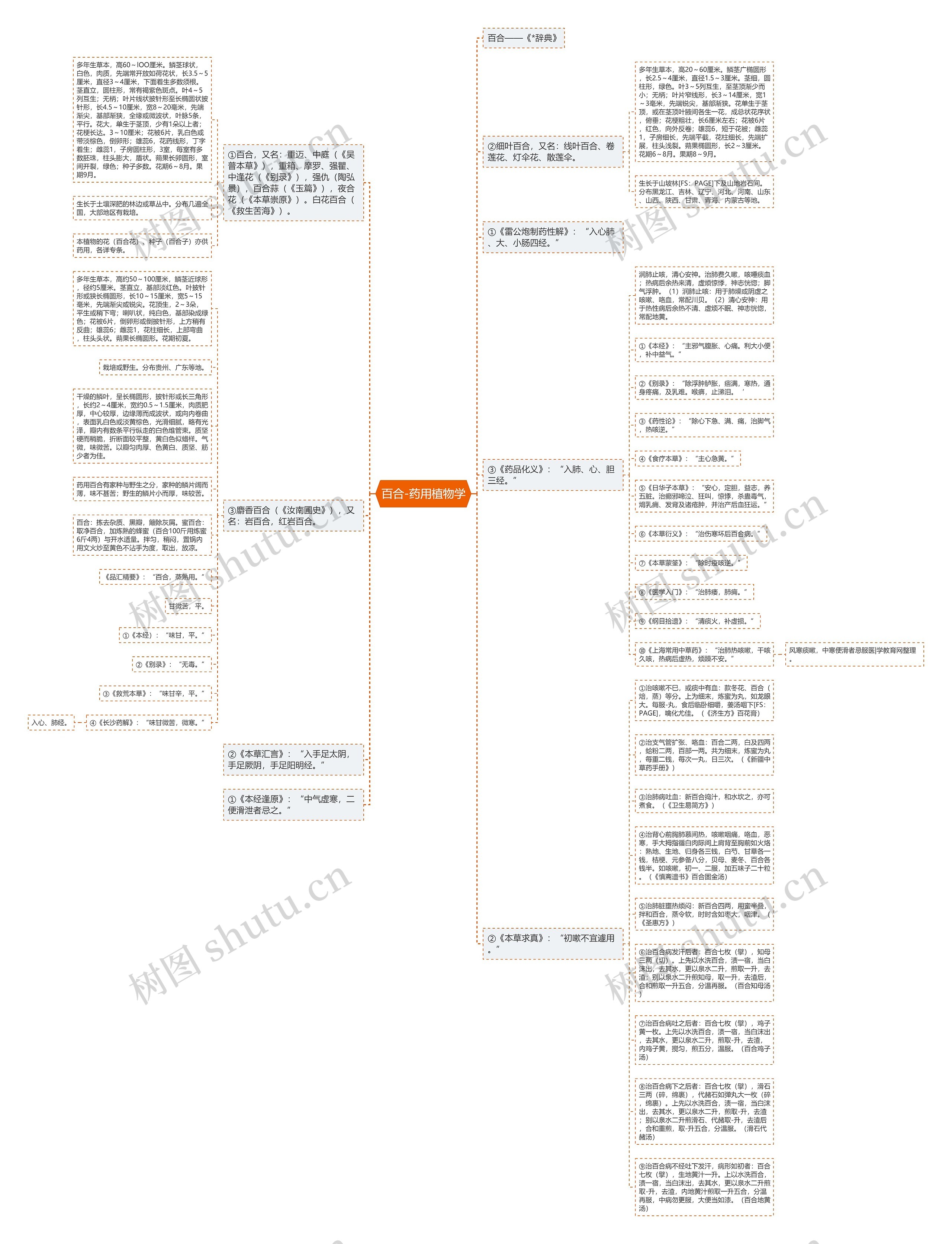 百合-药用植物学思维导图