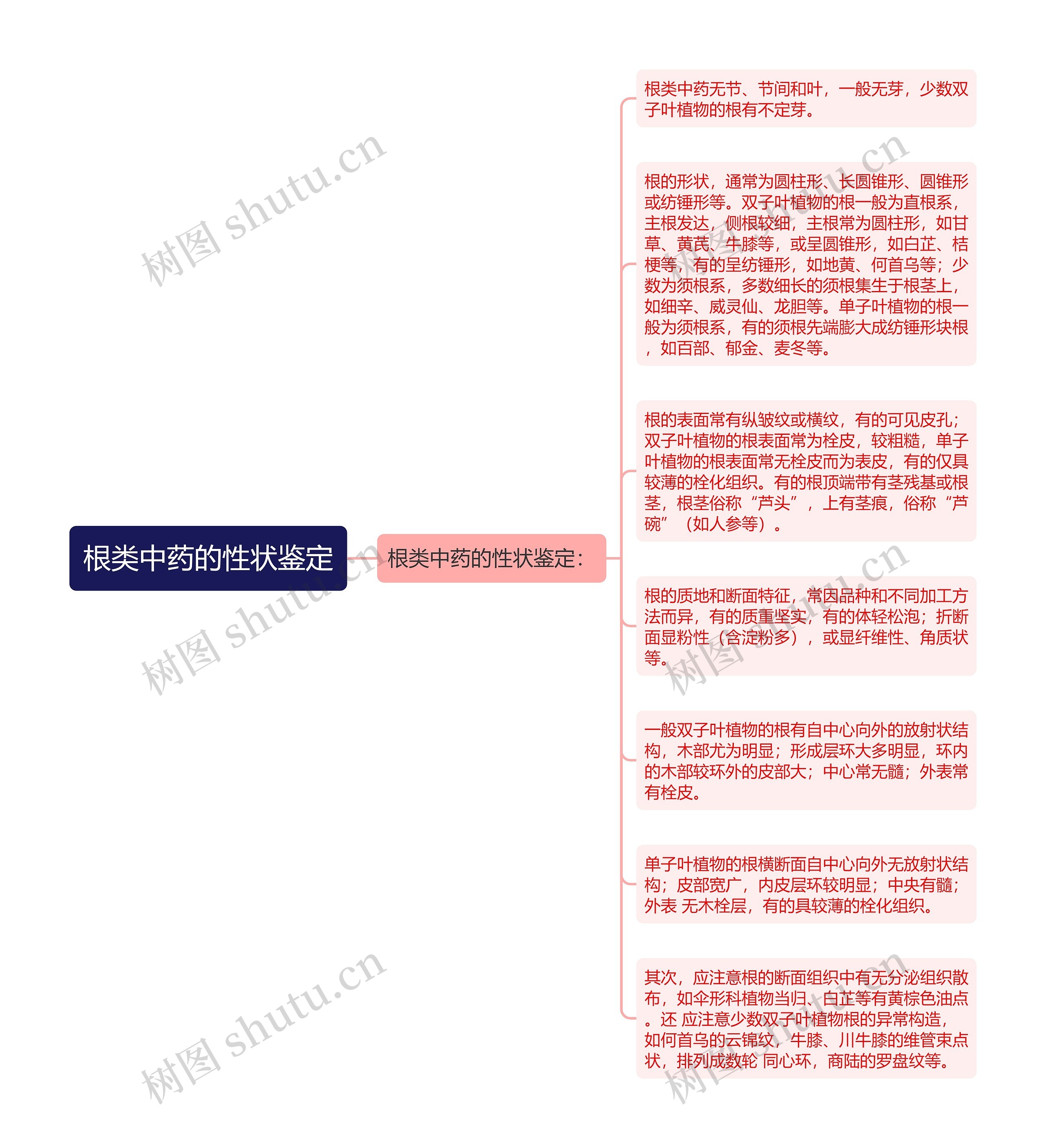 根类中药的性状鉴定思维导图