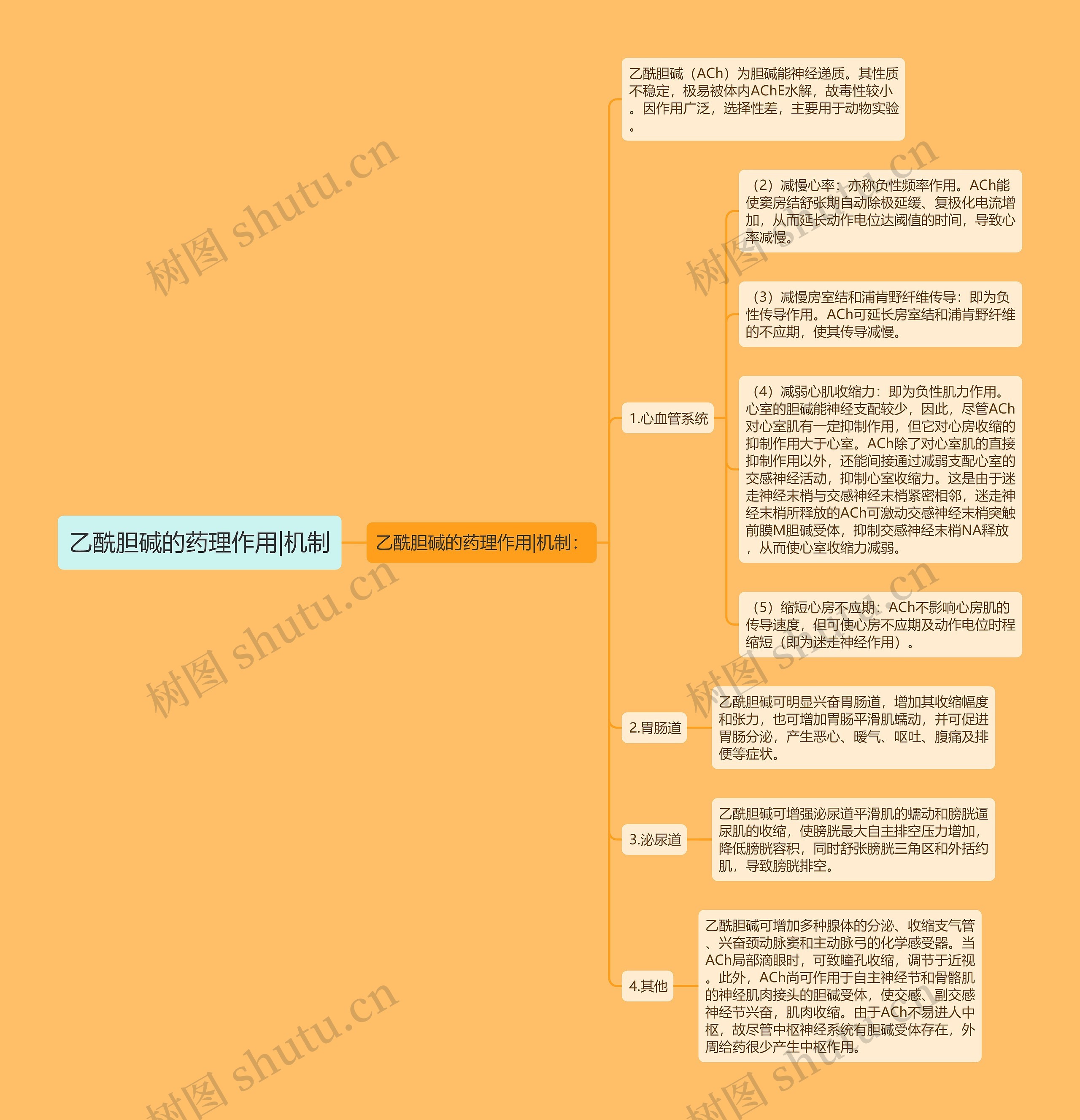 乙酰胆碱的药理作用|机制 乙酰胆碱的药理作用|机制