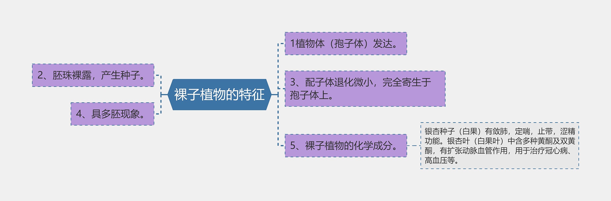 裸子植物的特征思维导图