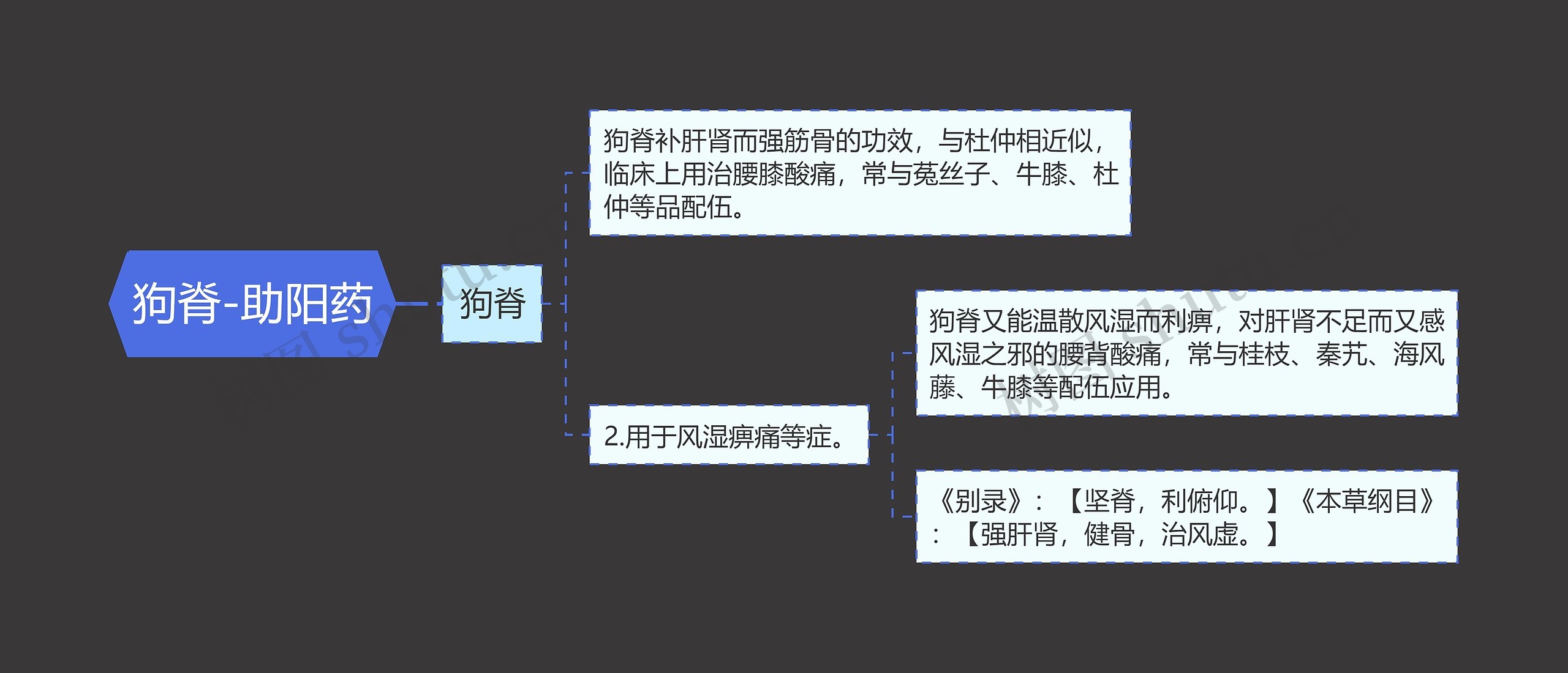 狗脊-助阳药