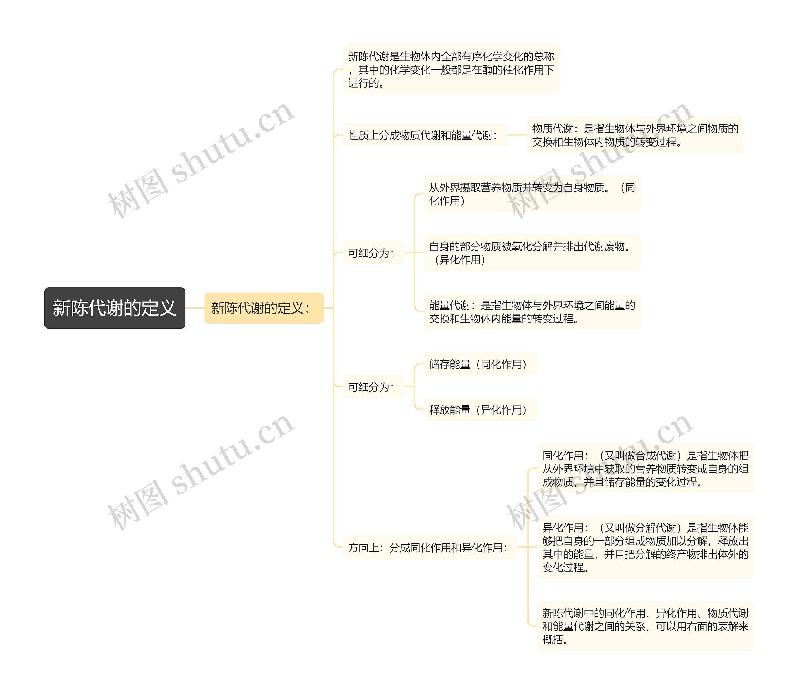 新陈代谢的定义思维导图