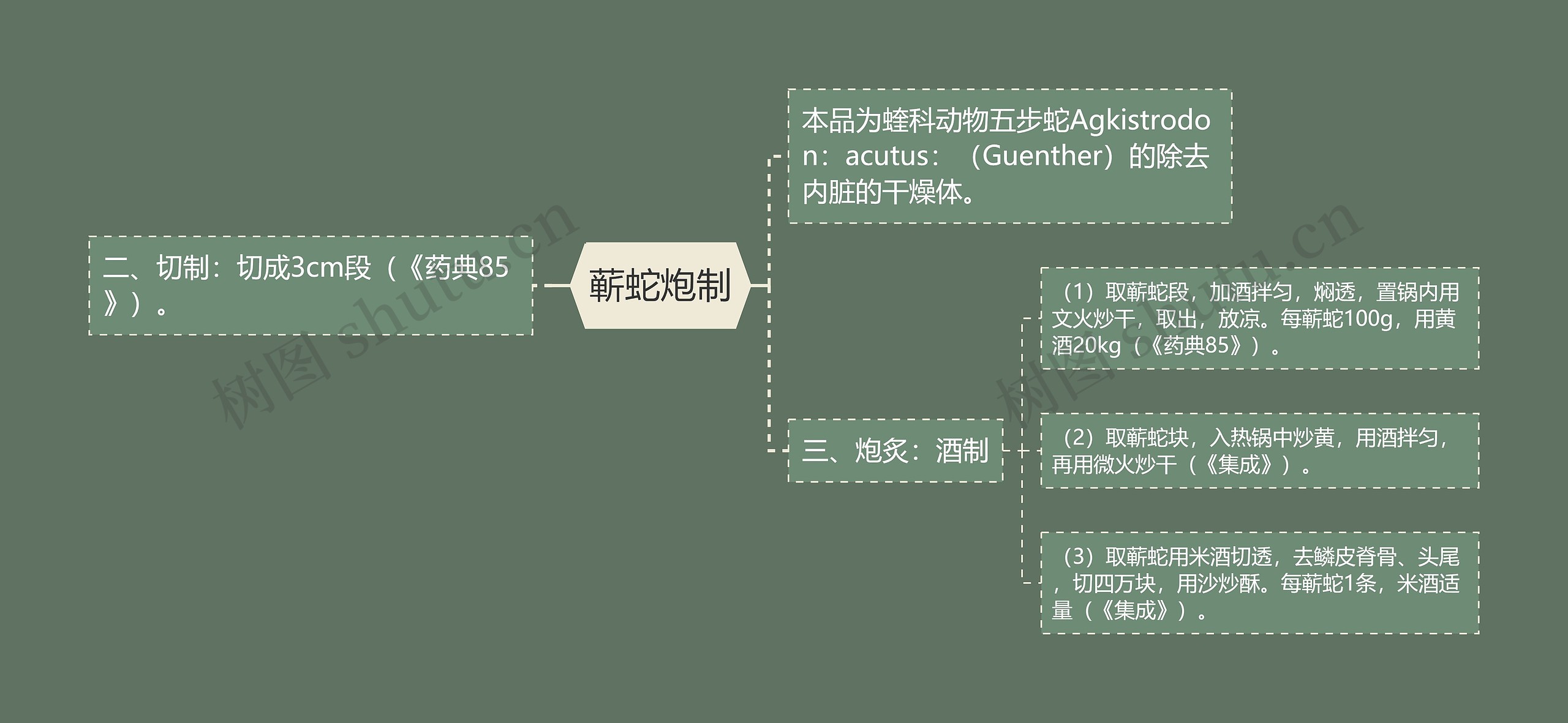 蕲蛇炮制思维导图