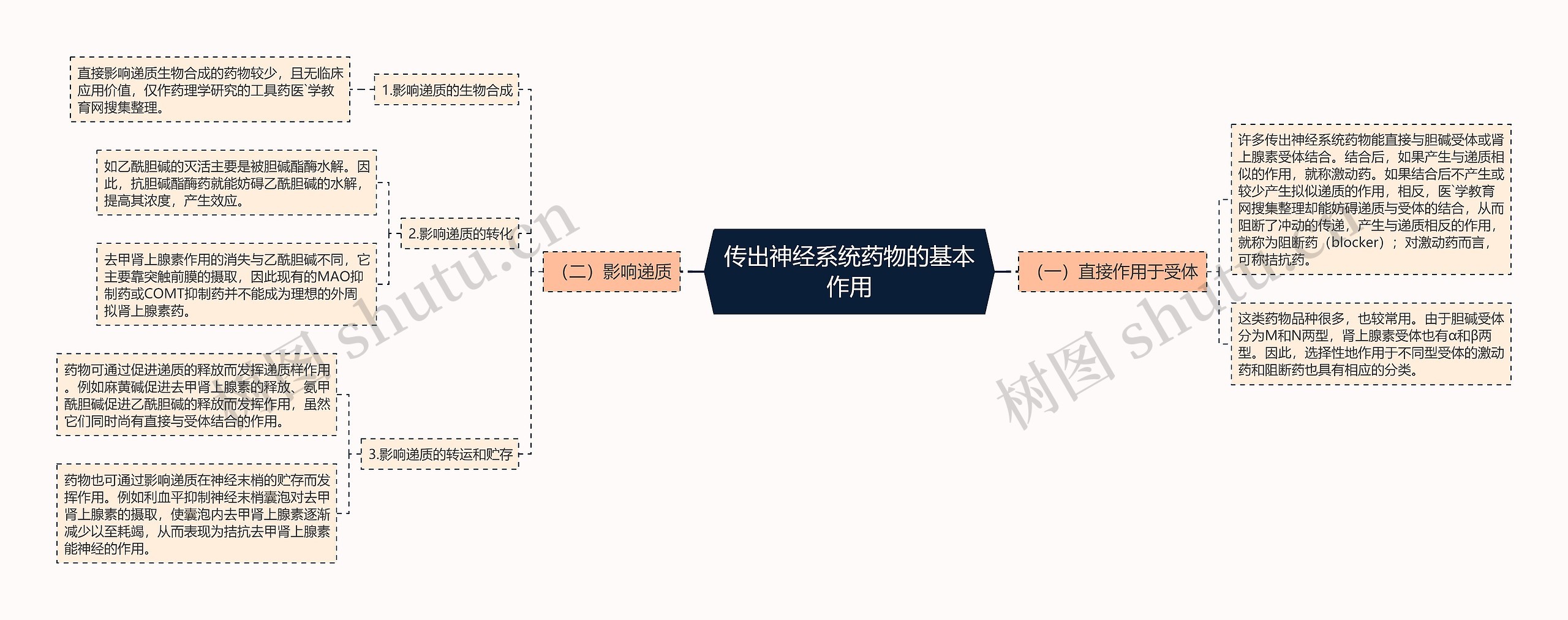 传出神经系统药物的基本作用