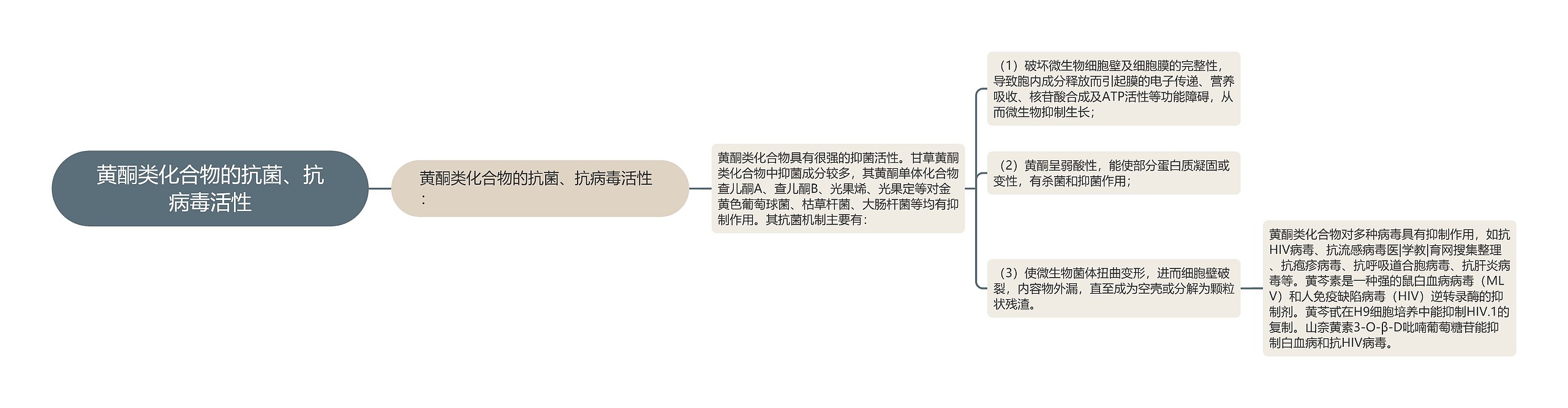 黄酮类化合物的抗菌、抗病毒活性思维导图