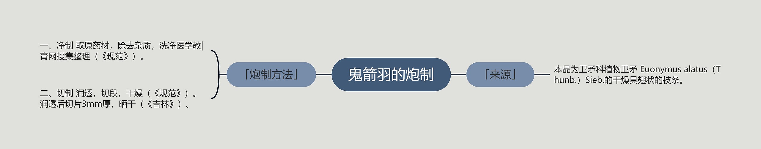 鬼箭羽的炮制 鬼箭羽的炮制