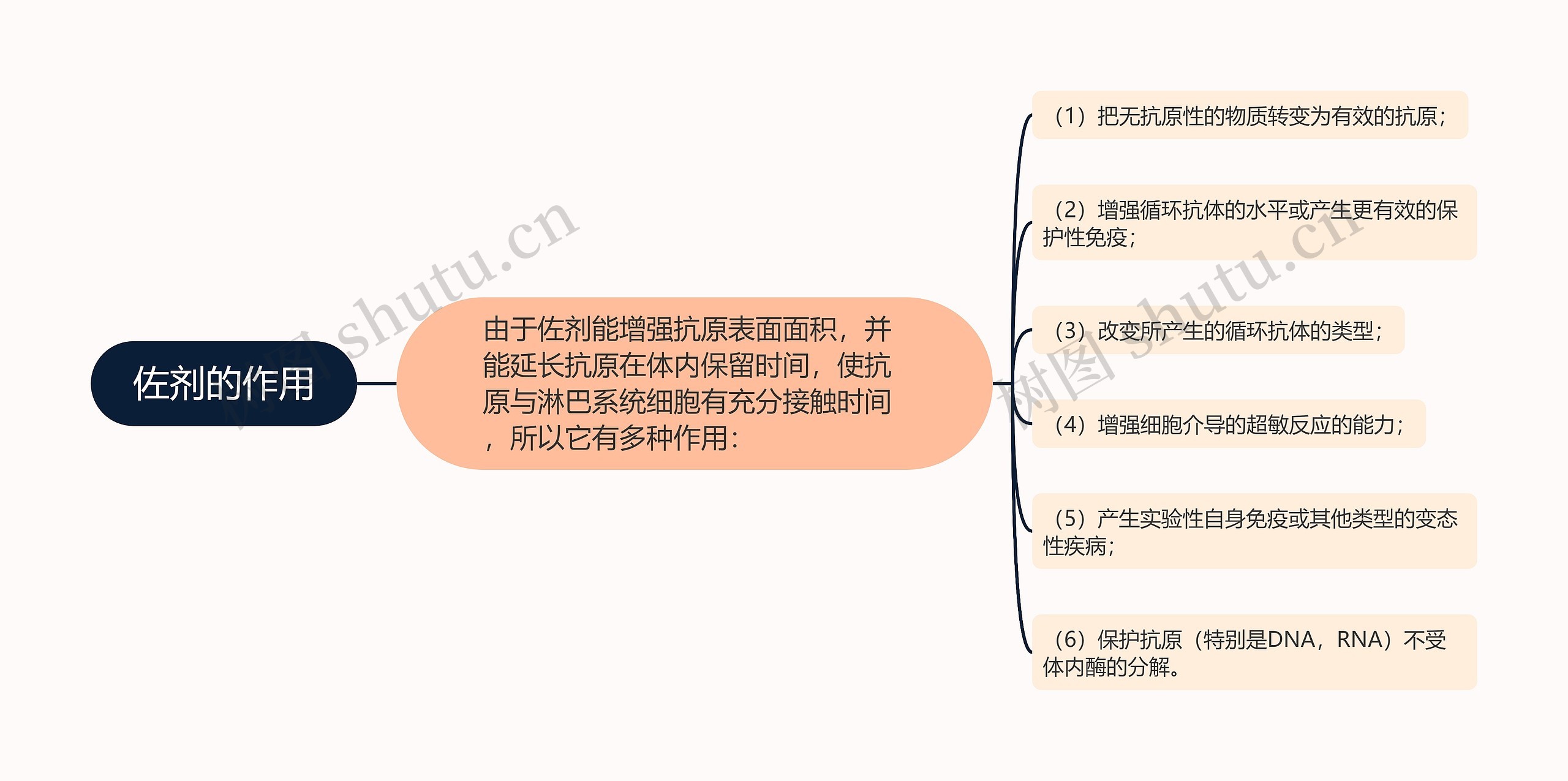 佐剂的作用思维导图