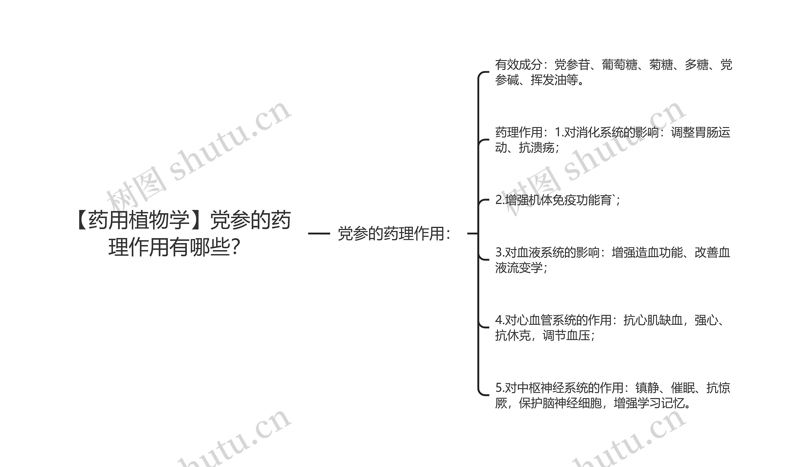 【药用植物学】党参的药理作用有哪些？思维导图