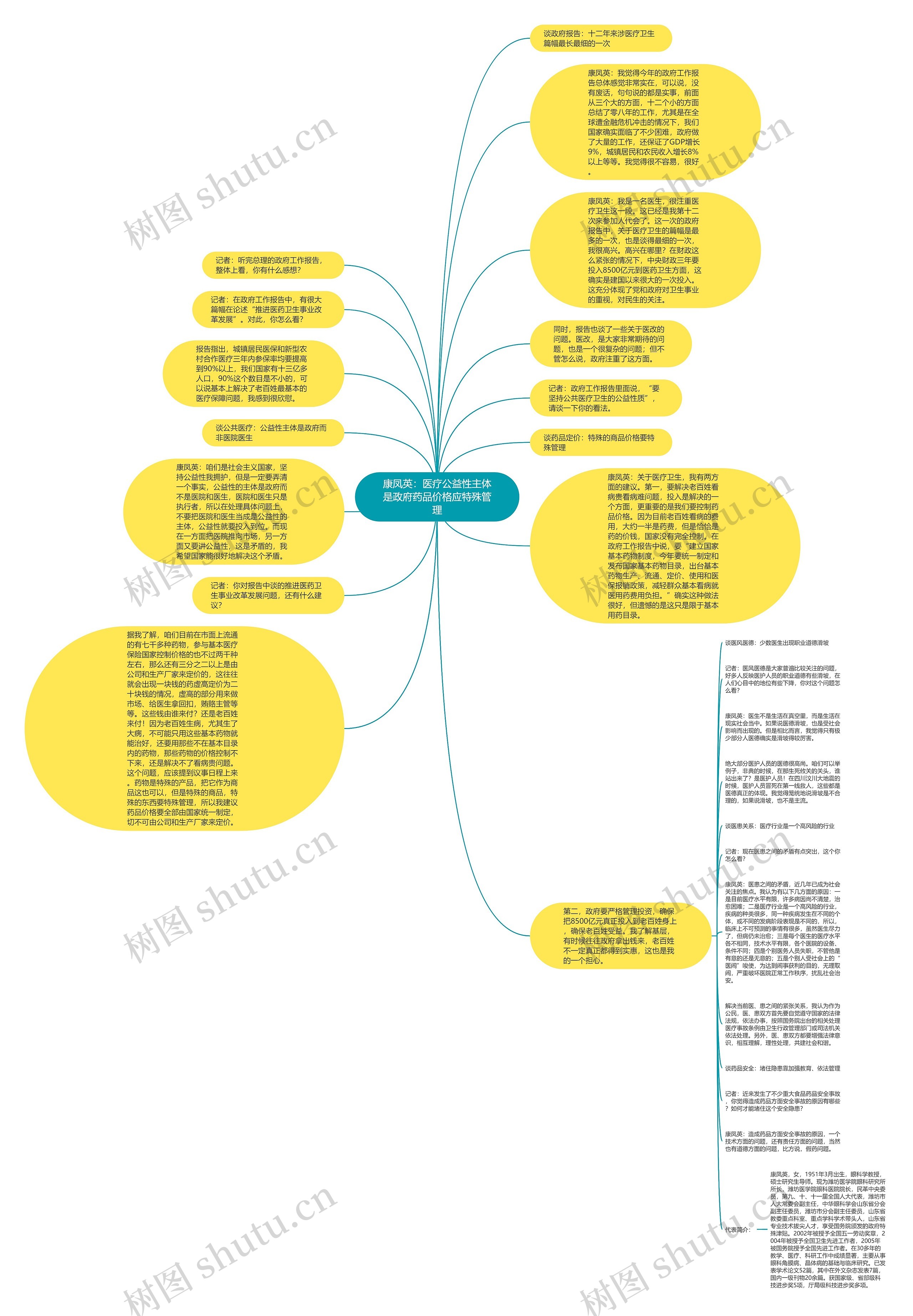 康凤英：医疗公益性主体是政府药品价格应特殊管理思维导图