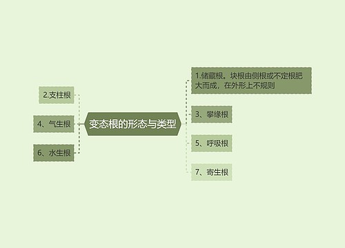 变态根的形态与类型