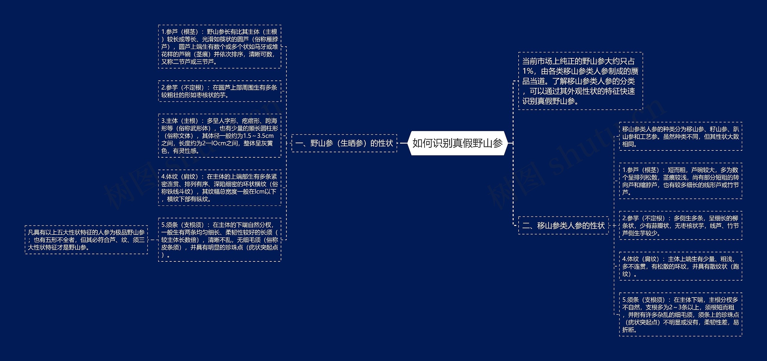 如何识别真假野山参思维导图