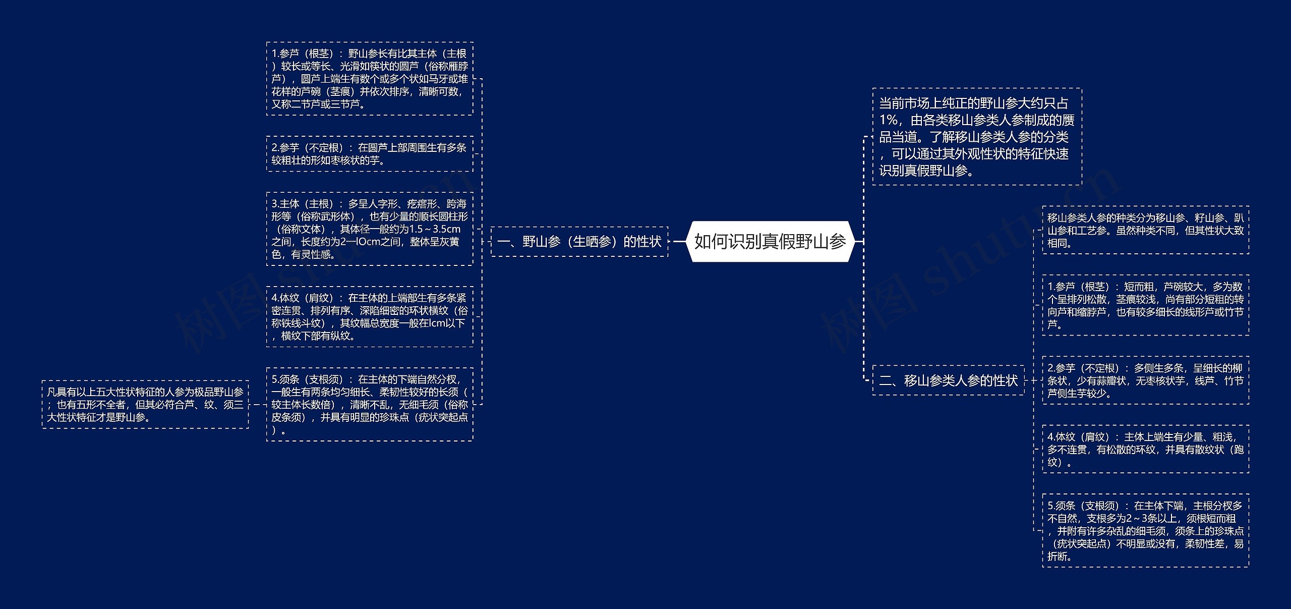 如何识别真假野山参思维导图高清图 如何识别真假野山参思维导图