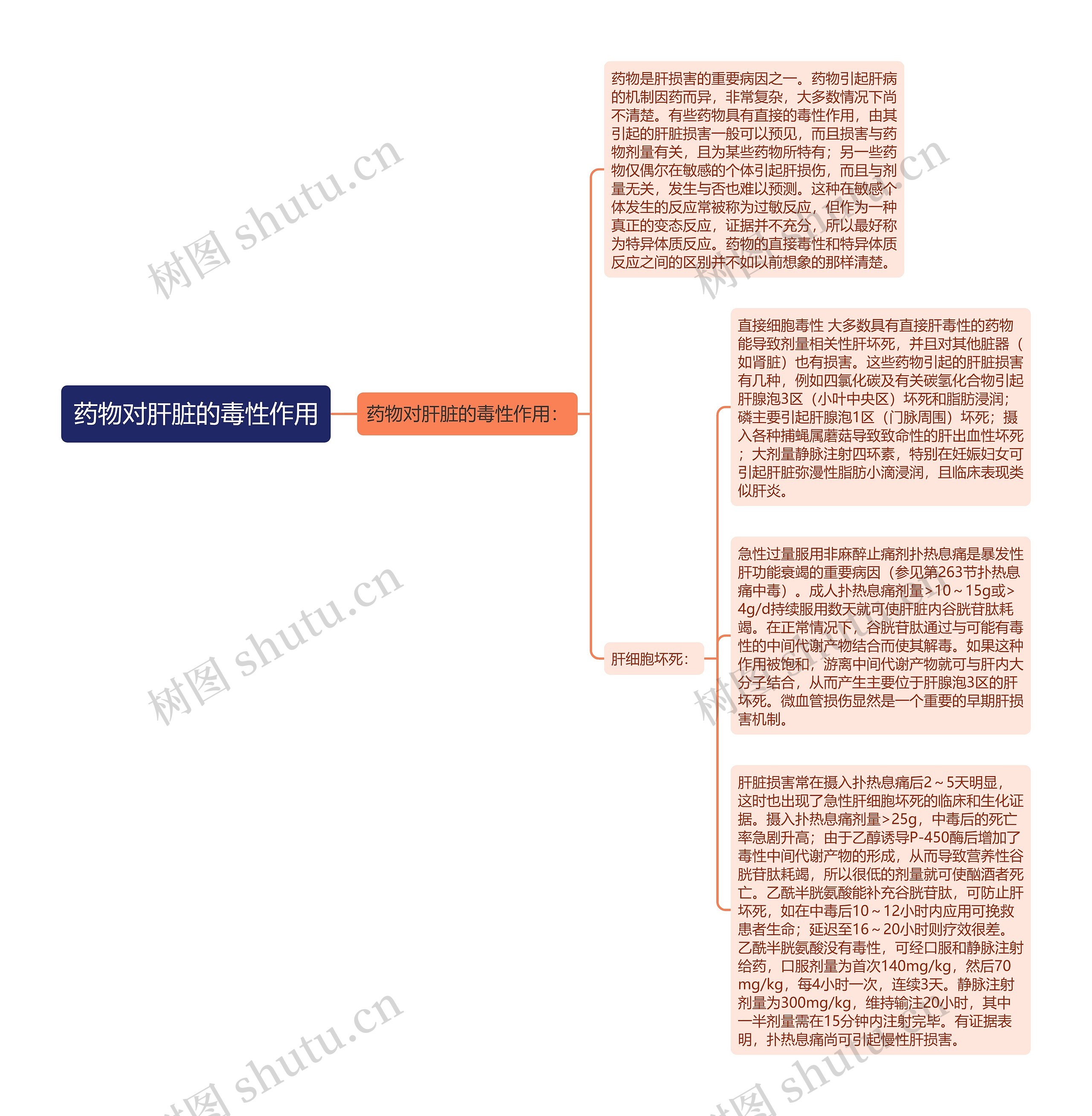 药物对肝脏的毒性作用思维导图