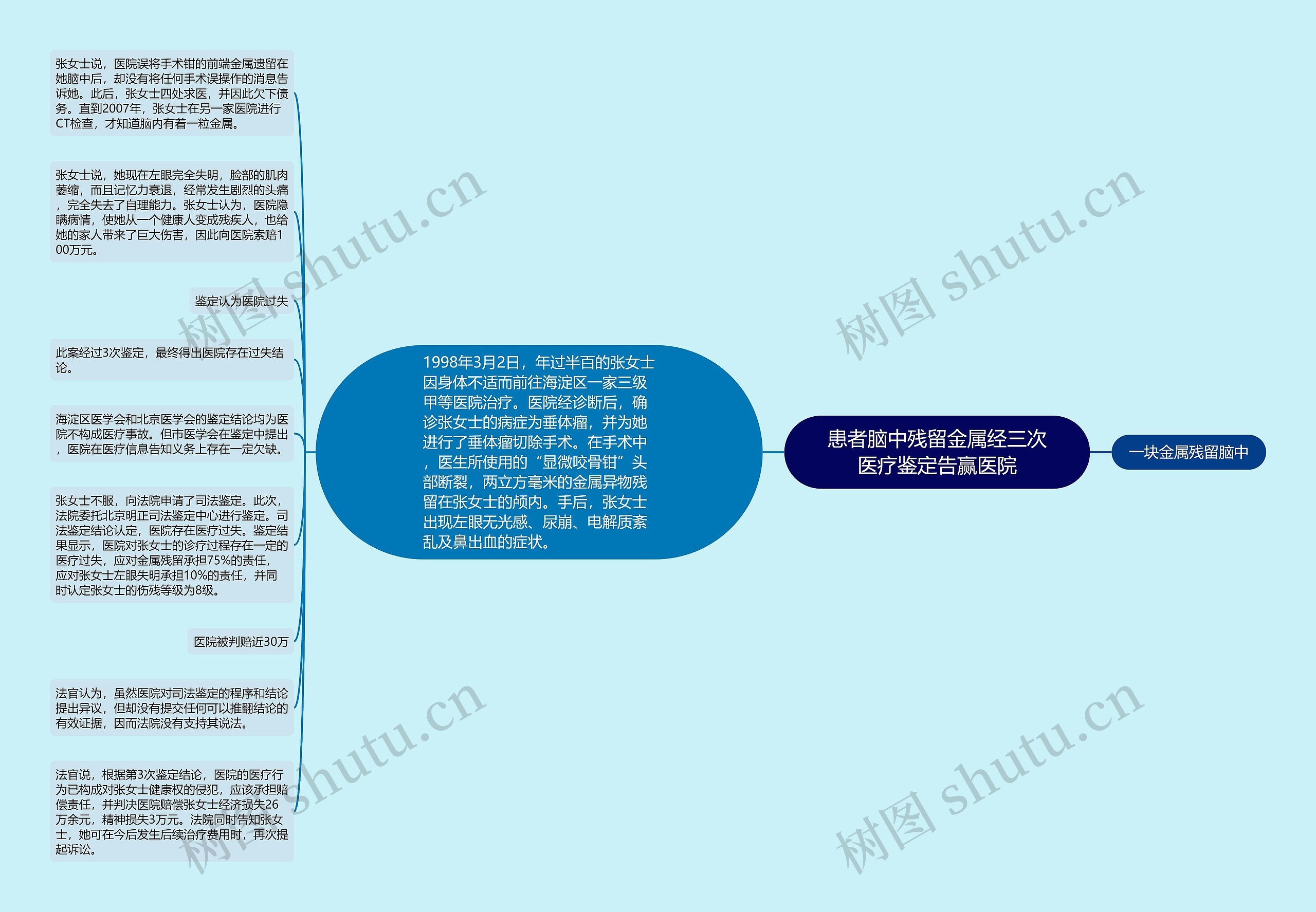 患者脑中残留金属经三次医疗鉴定告赢医院思维导图