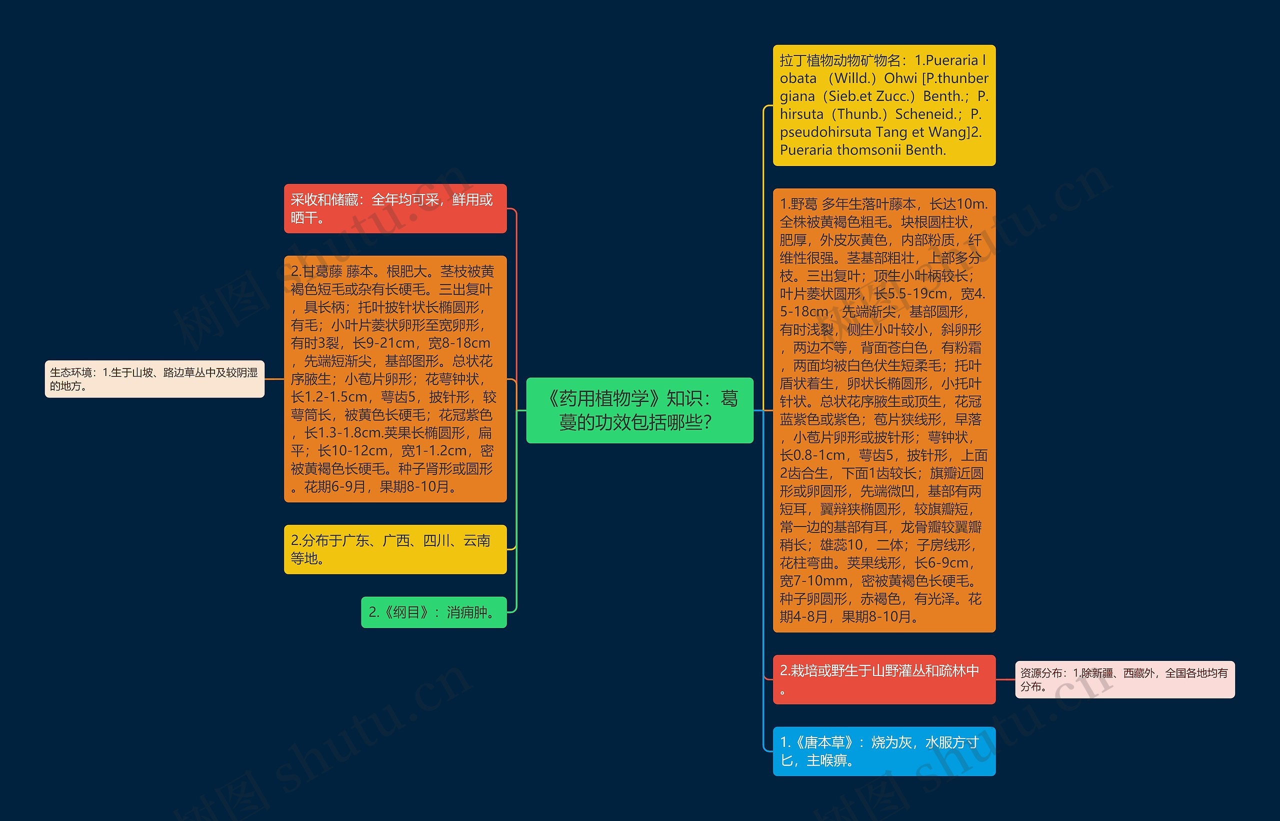 《药用植物学》知识:葛蔓的功效包括哪些? 《药用植物学》知识:葛蔓的功效包括哪些?