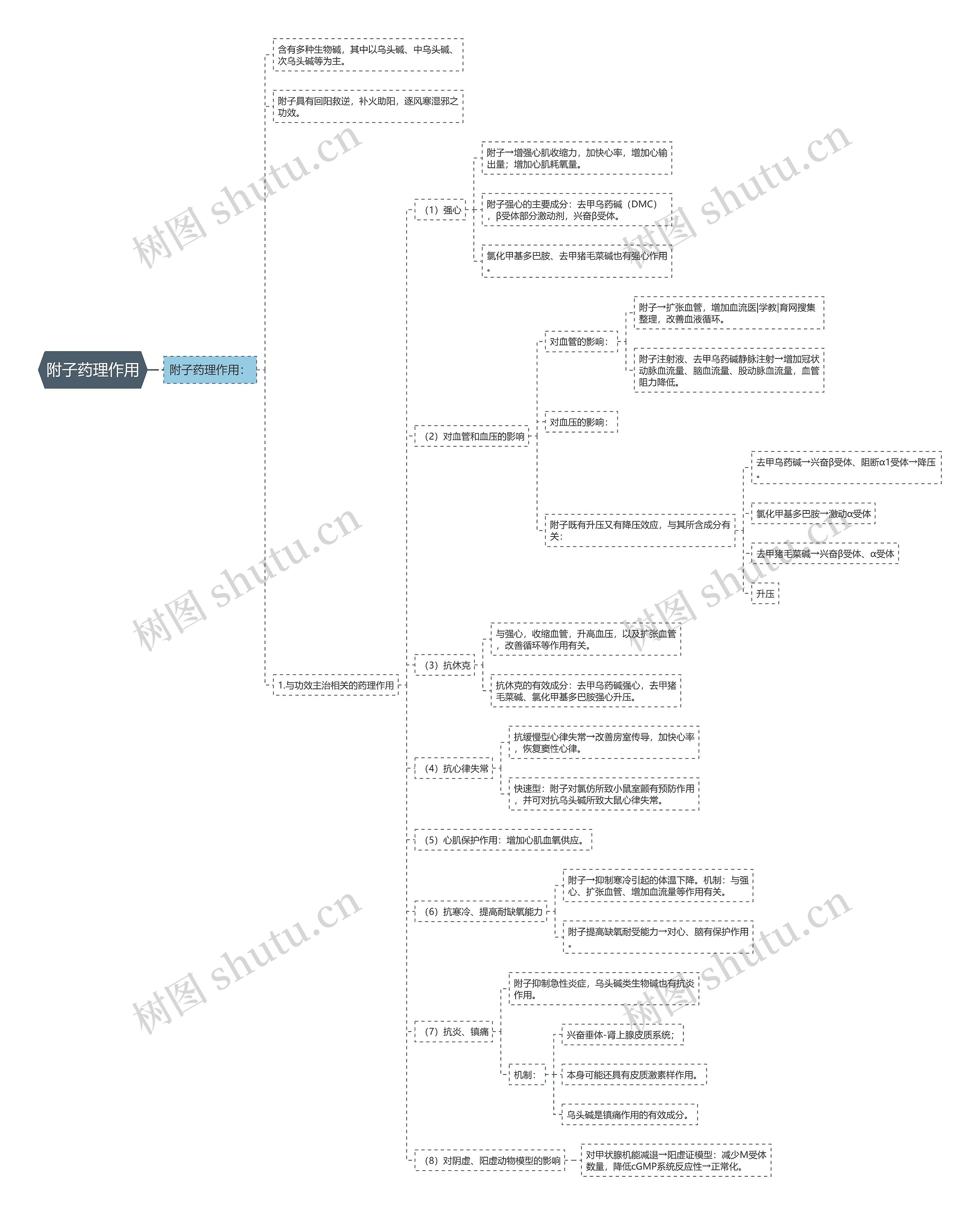 附子药理作用思维导图