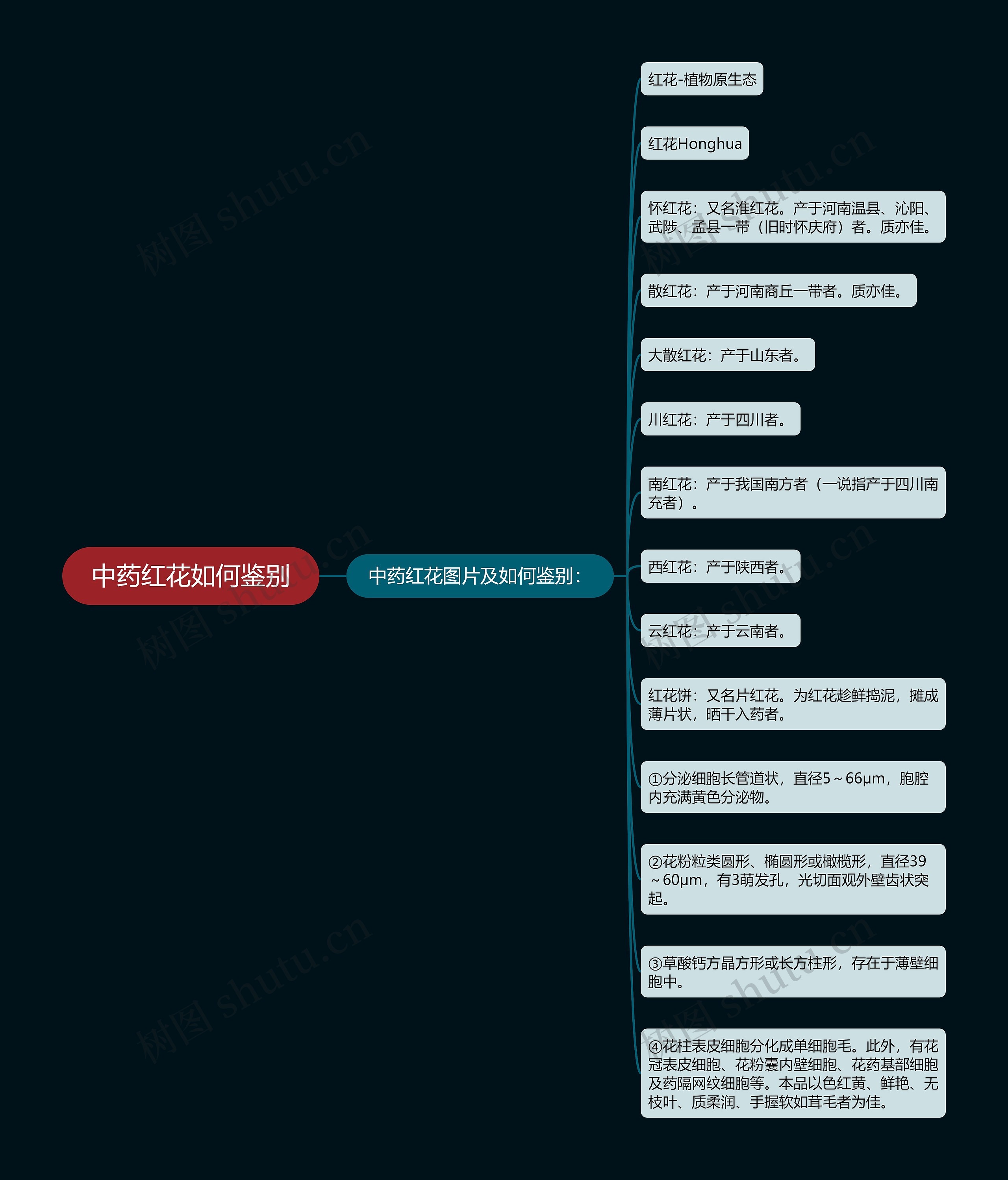 中药红花如何鉴别思维导图