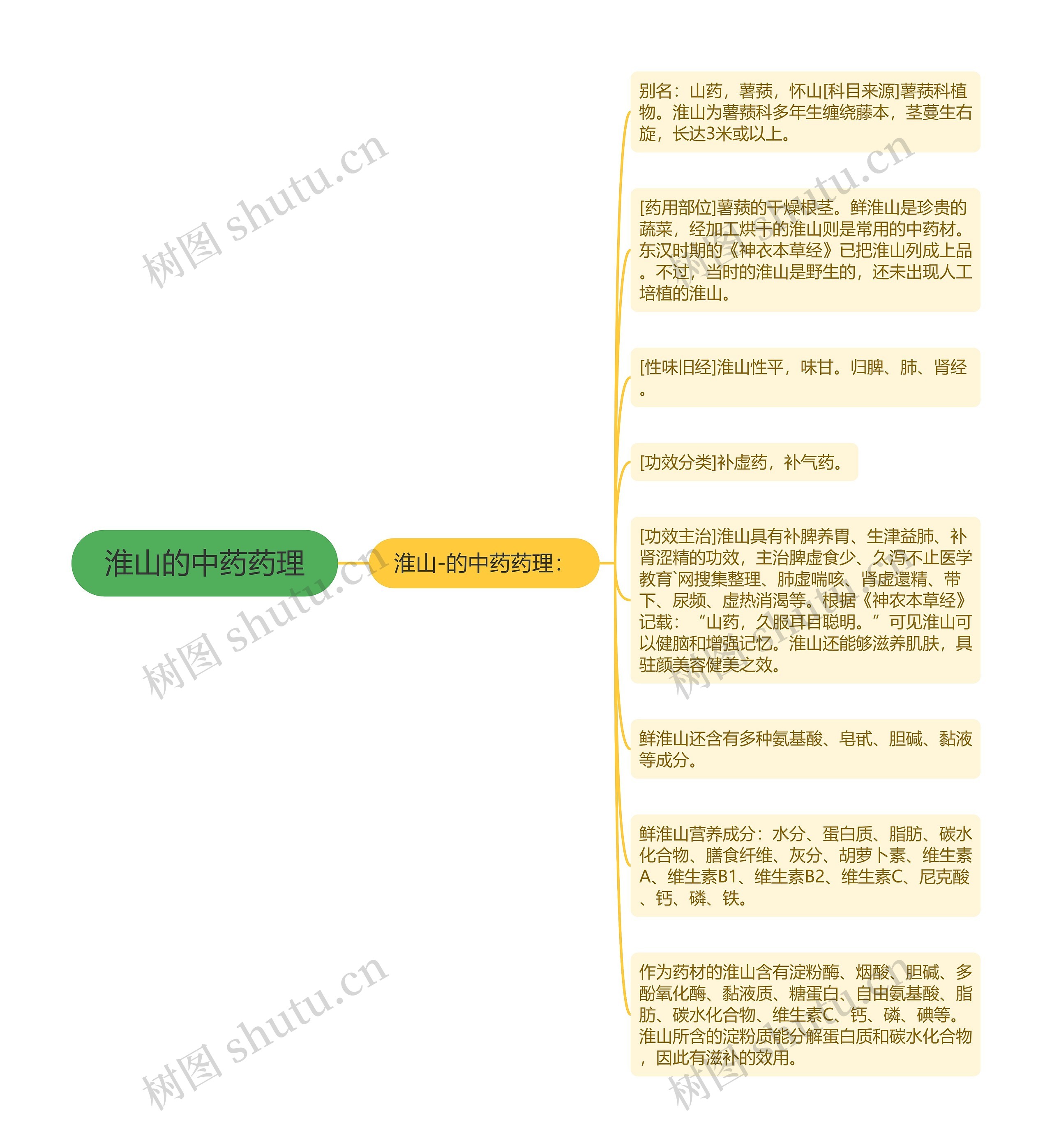 淮山的中药药理思维导图