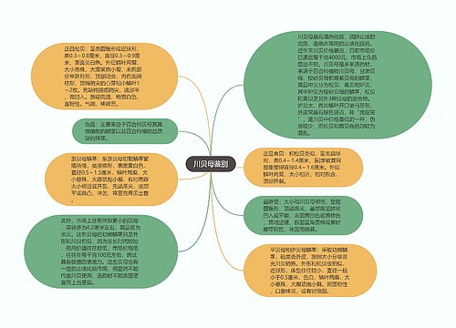 川贝母鉴别