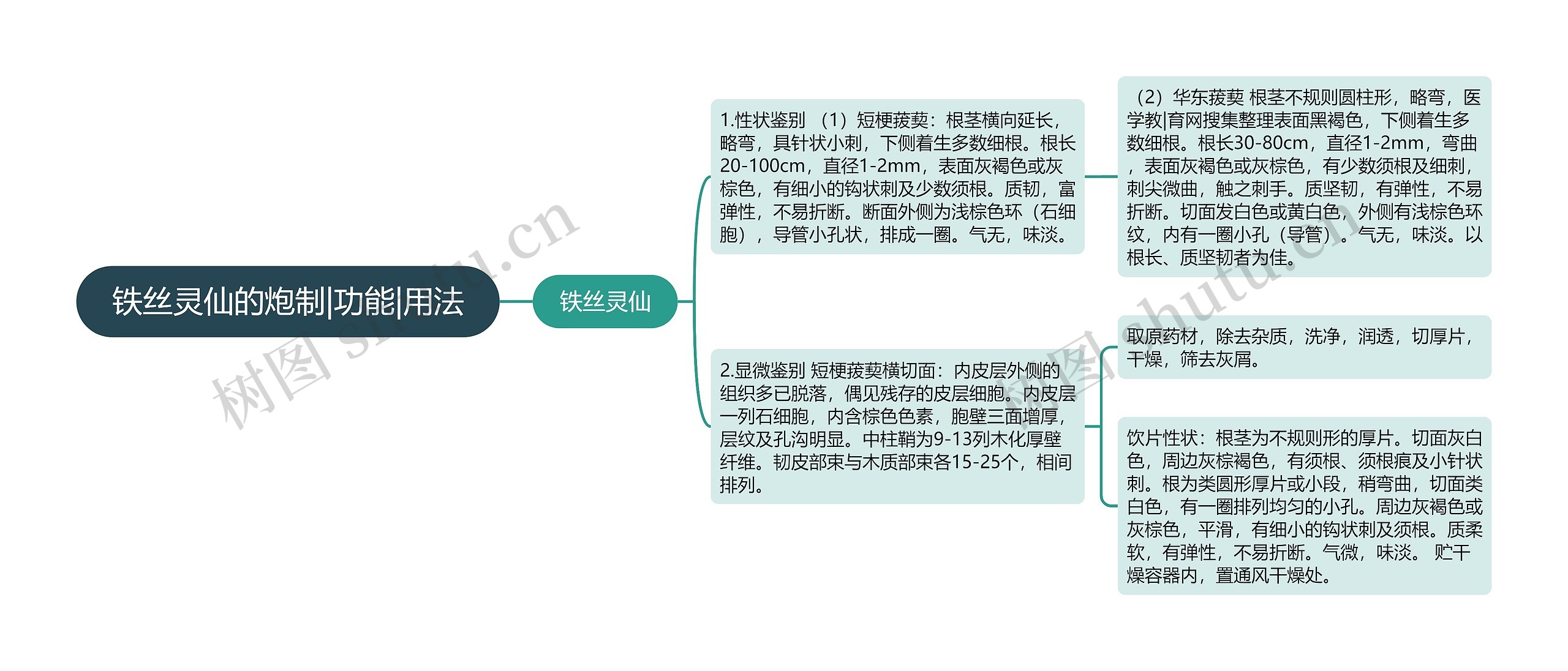 铁丝灵仙的炮制|功能|用法思维导图