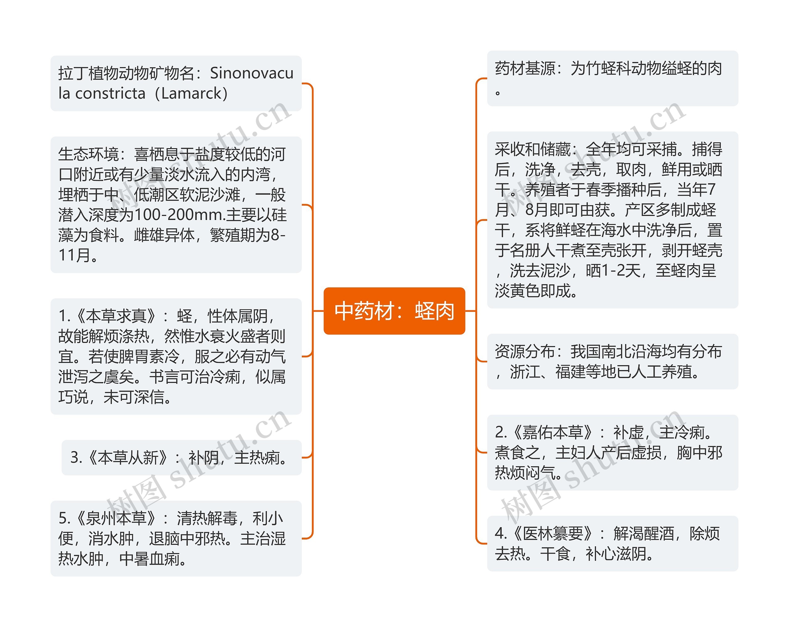 中药材:蛏肉 中药材:蛏肉