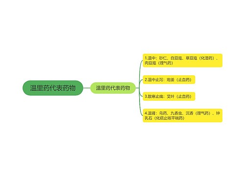 温里药代表药物