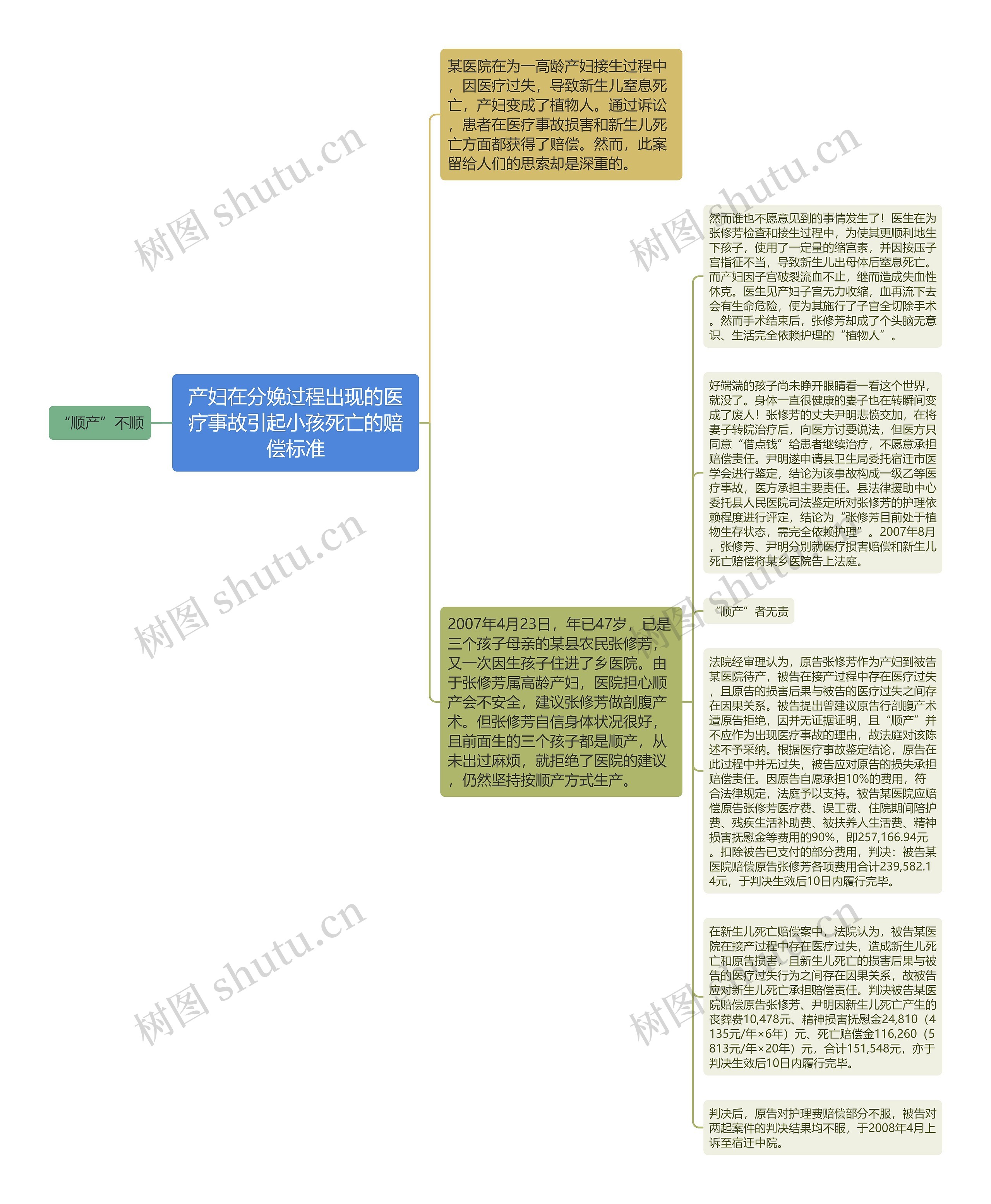 产妇在分娩过程出现的医疗事故引起小孩死亡的赔偿标准思维导图