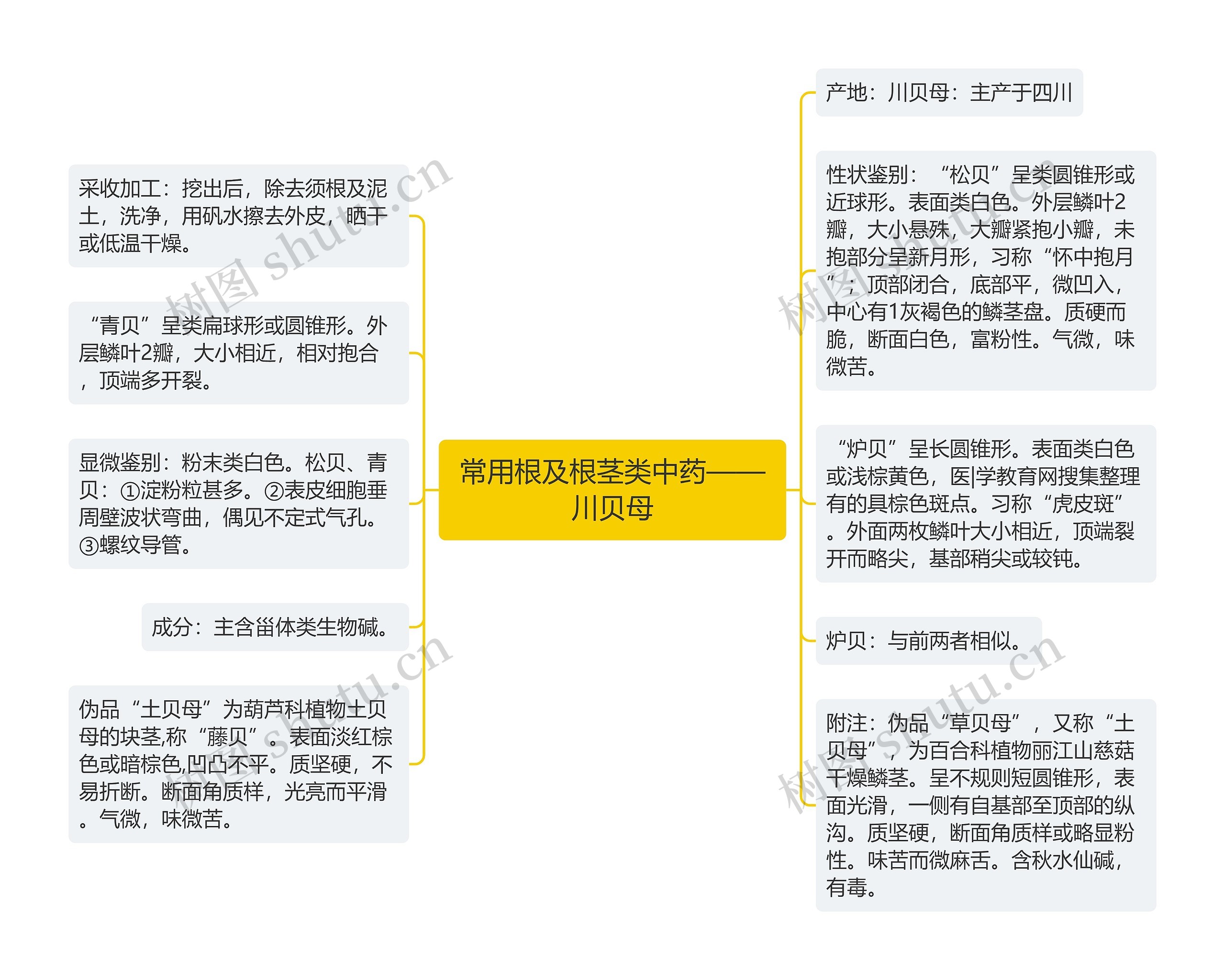 常用根及根茎类中药——川贝母思维导图