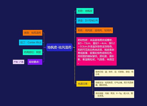 地枫皮-祛风湿药