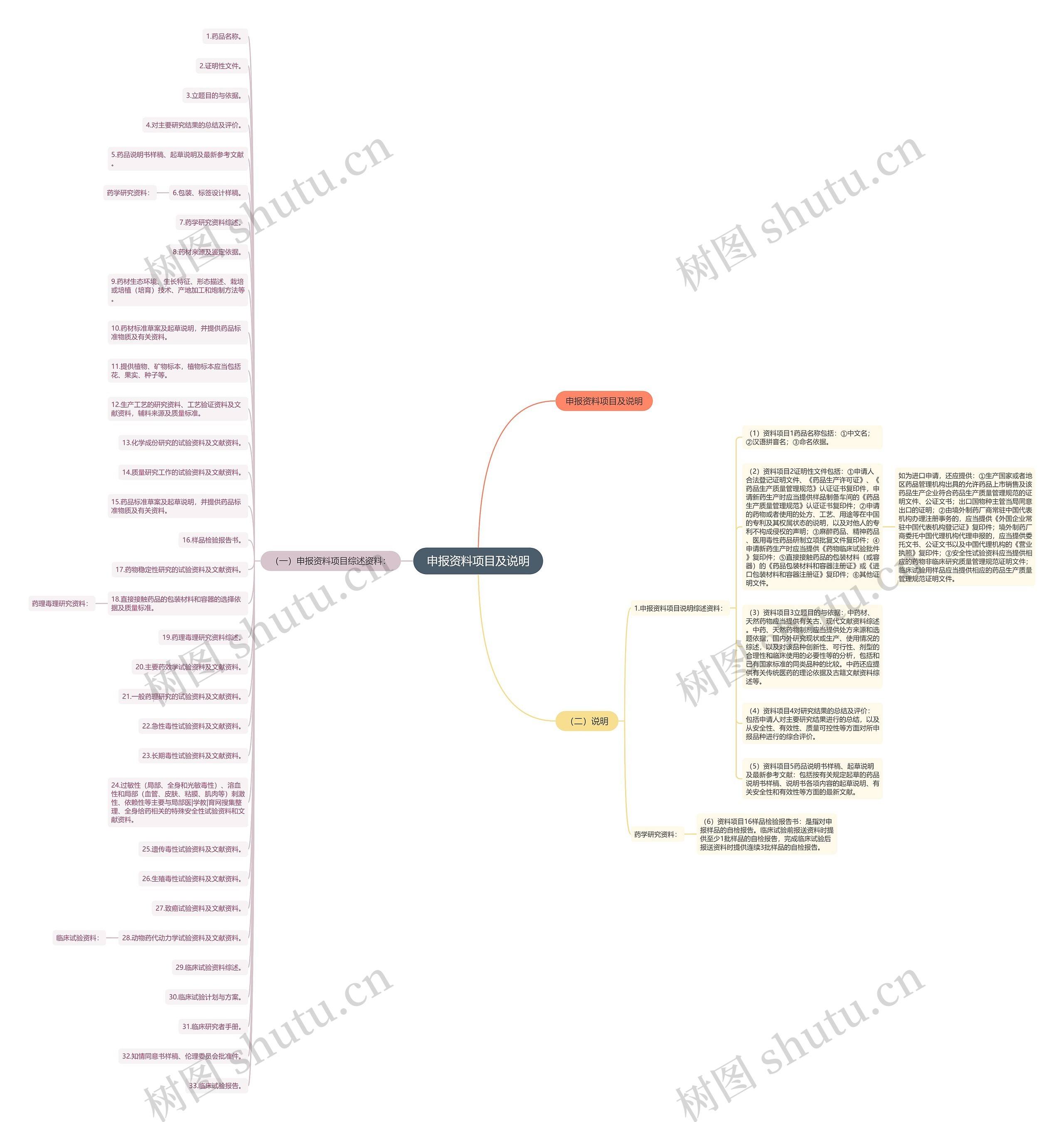 申报资料项目及说明思维导图