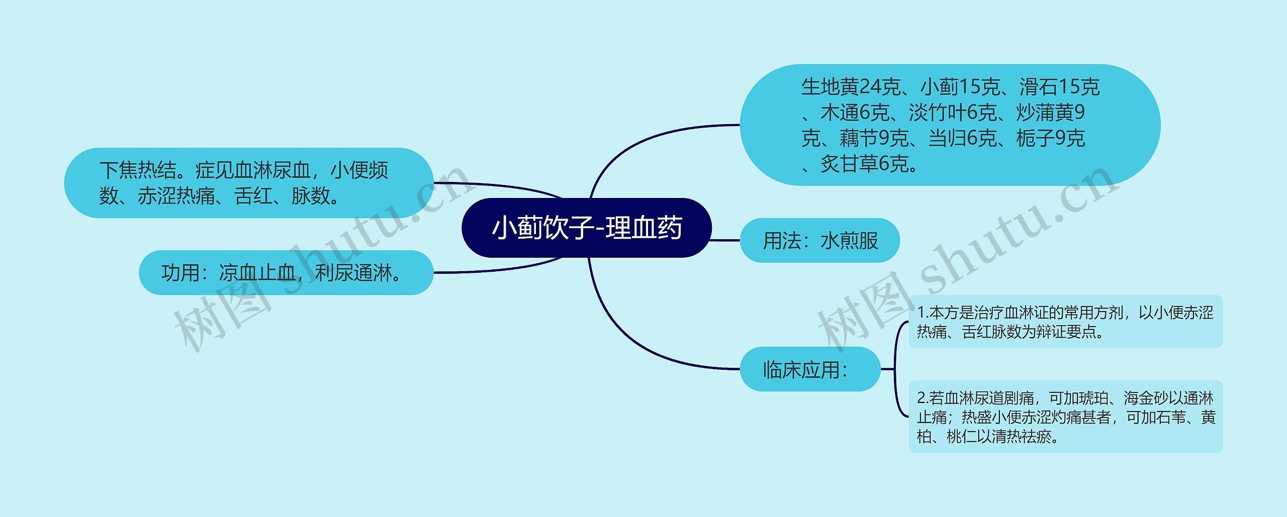 小蓟饮子-理血药 小蓟饮子-理血药