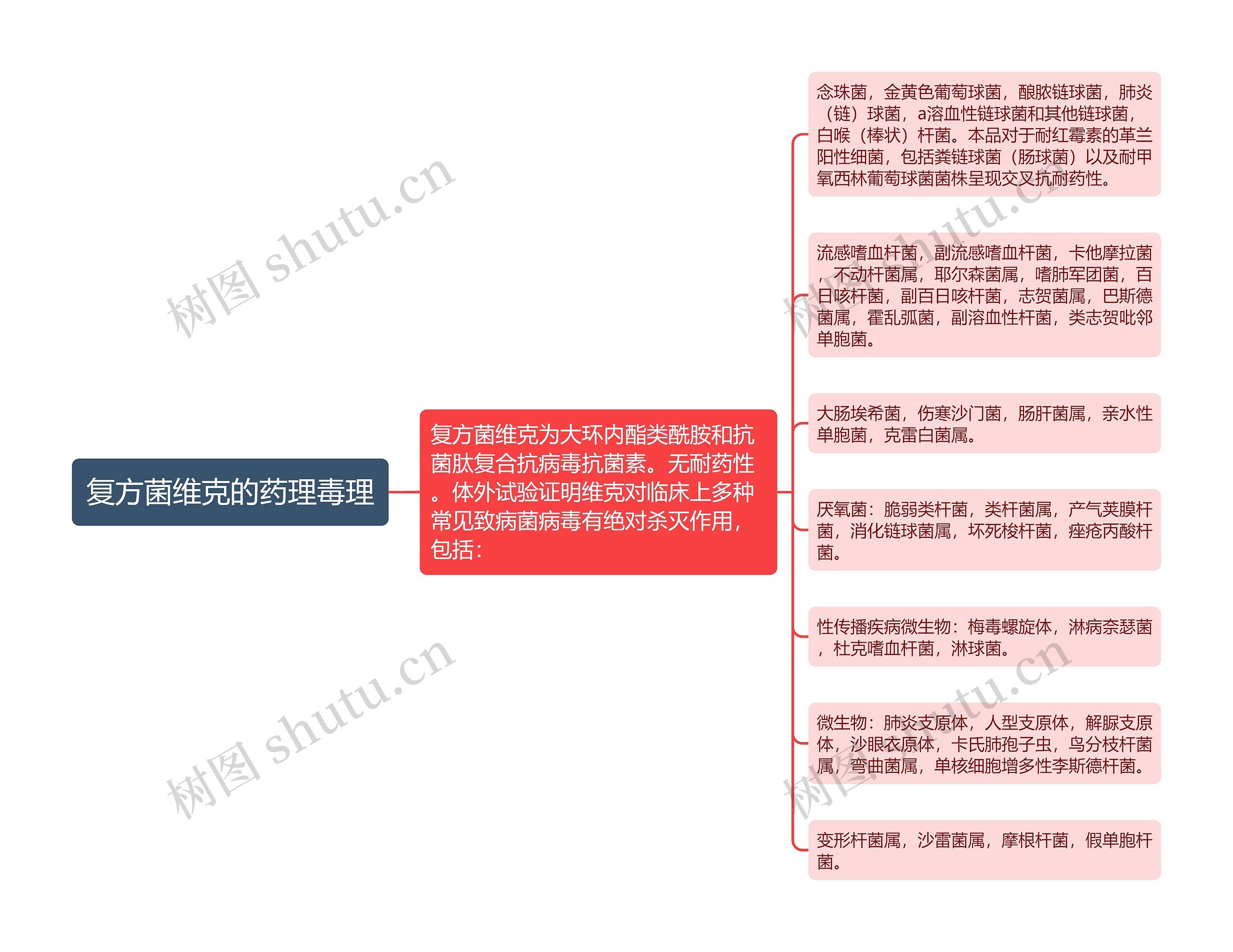 复方菌维克的药理毒理思维导图