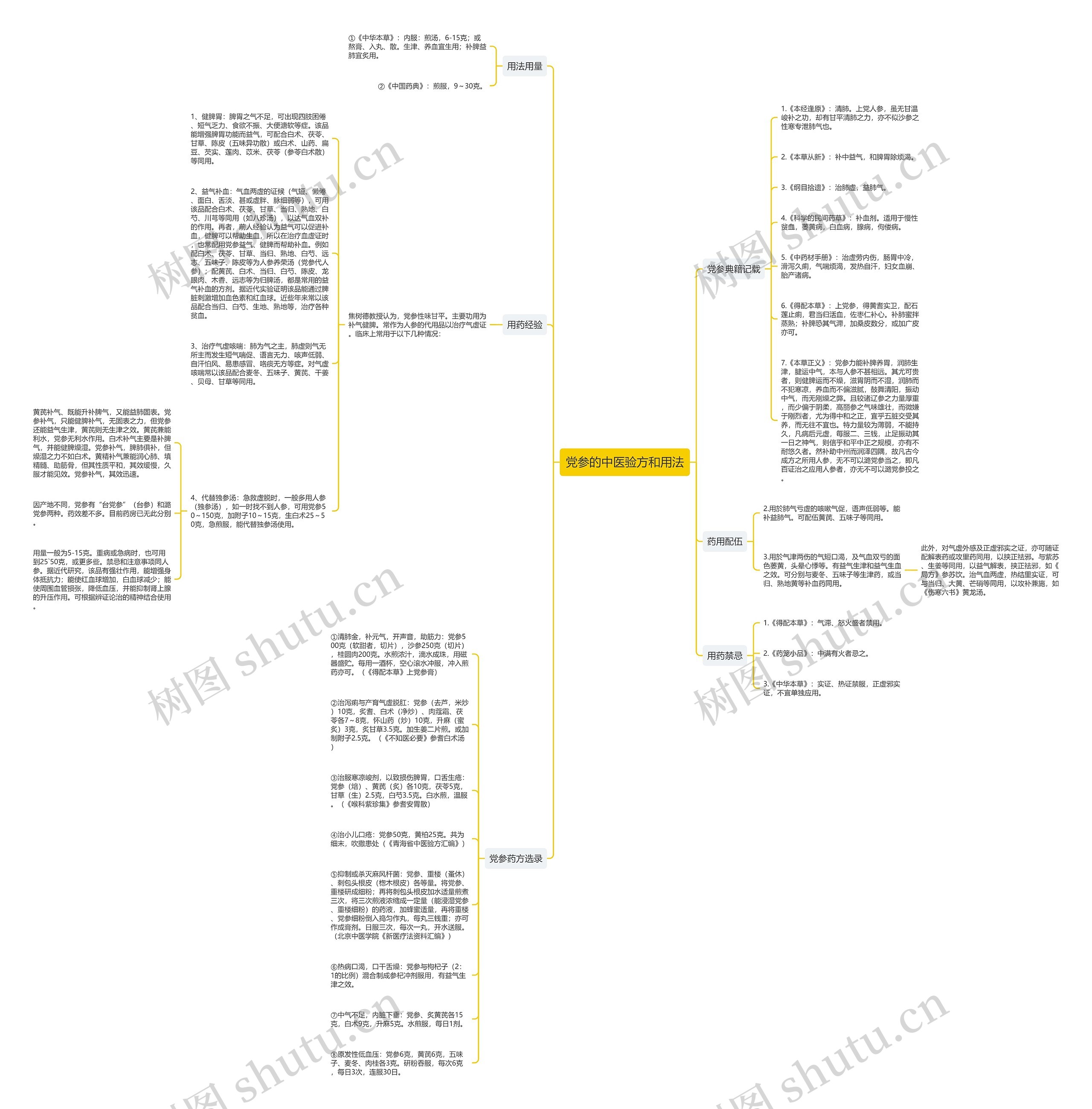 党参的中医验方和用法思维导图