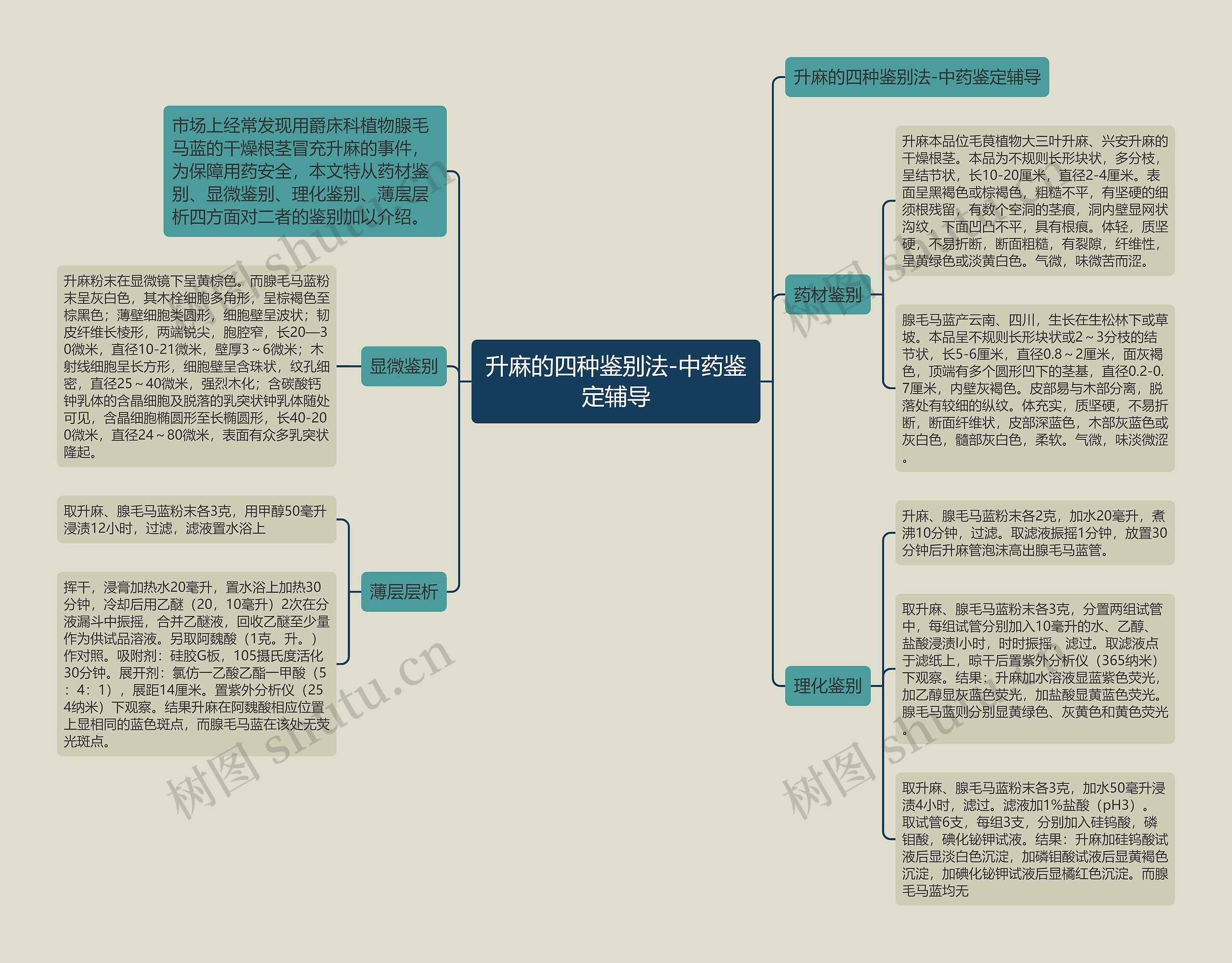 升麻的四种鉴别法-中药鉴定辅导思维导图