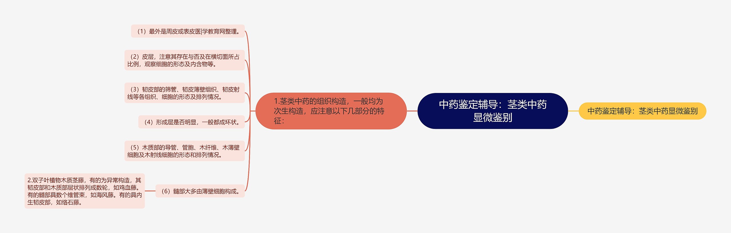 中药鉴定辅导：茎类中药显微鉴别思维导图