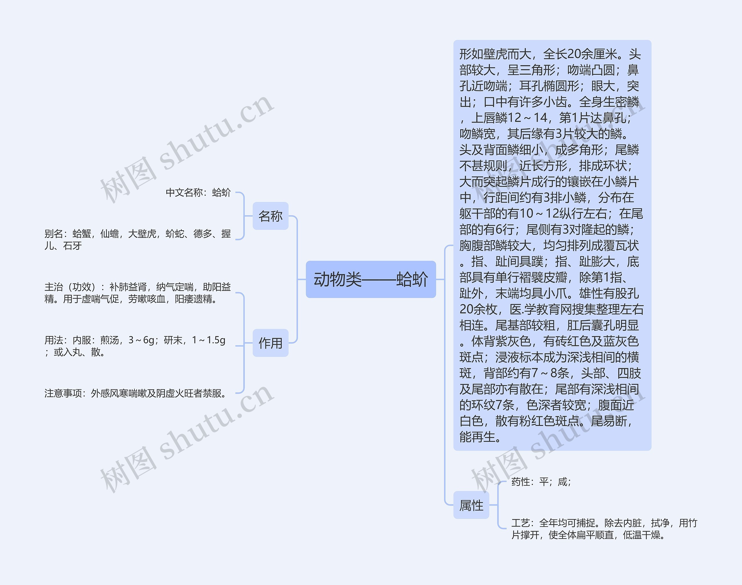 动物类——蛤蚧