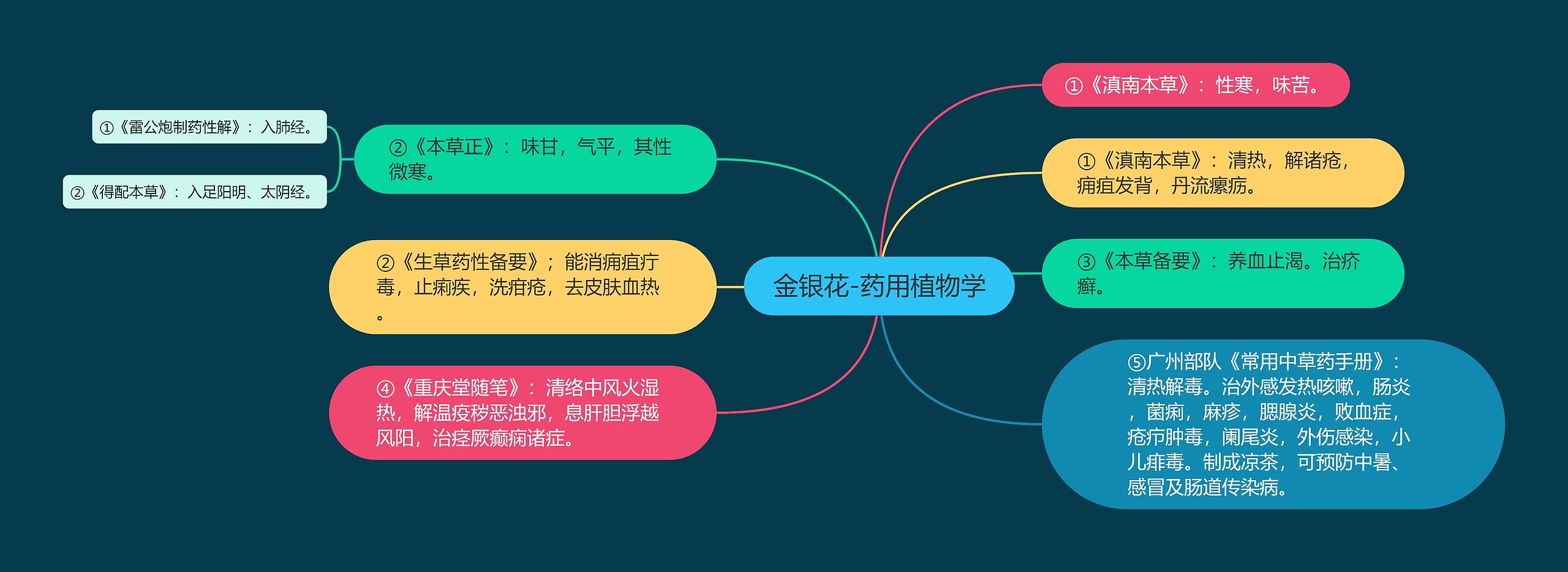 金银花-药用植物学思维导图