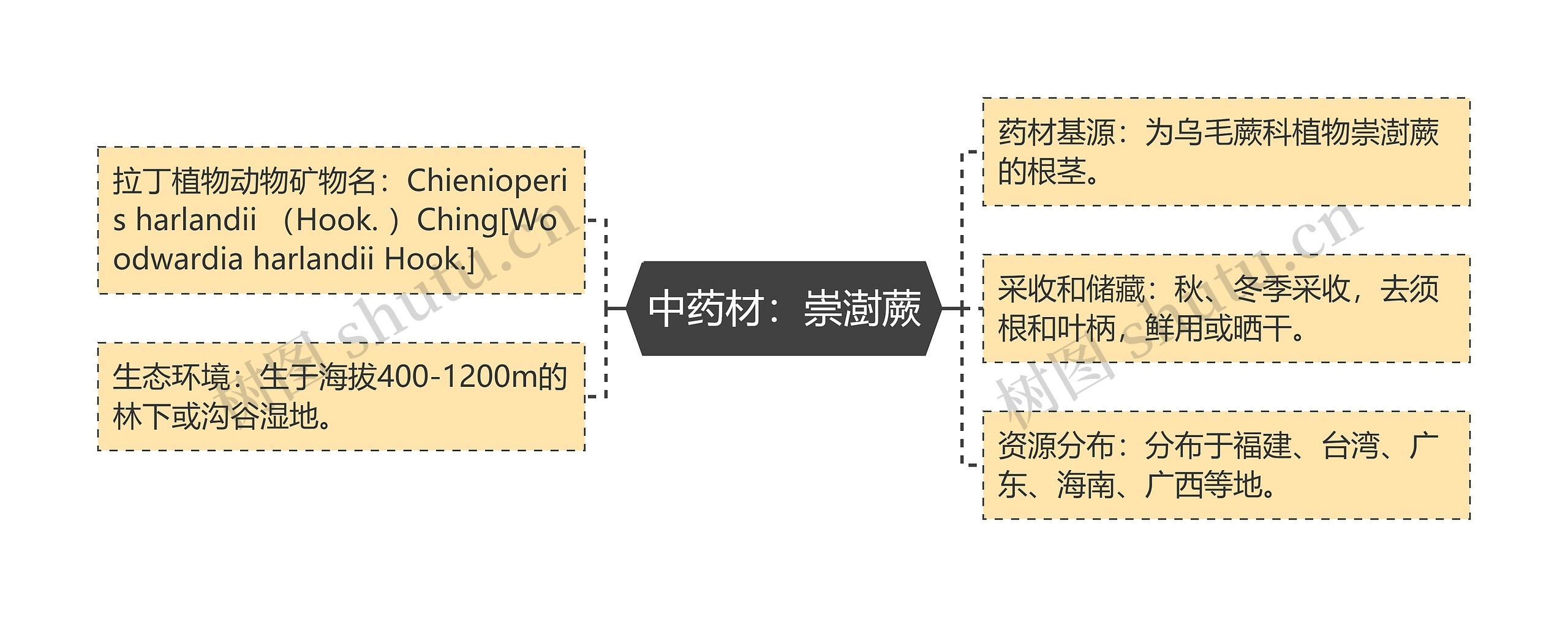 中药材：崇澍蕨思维导图