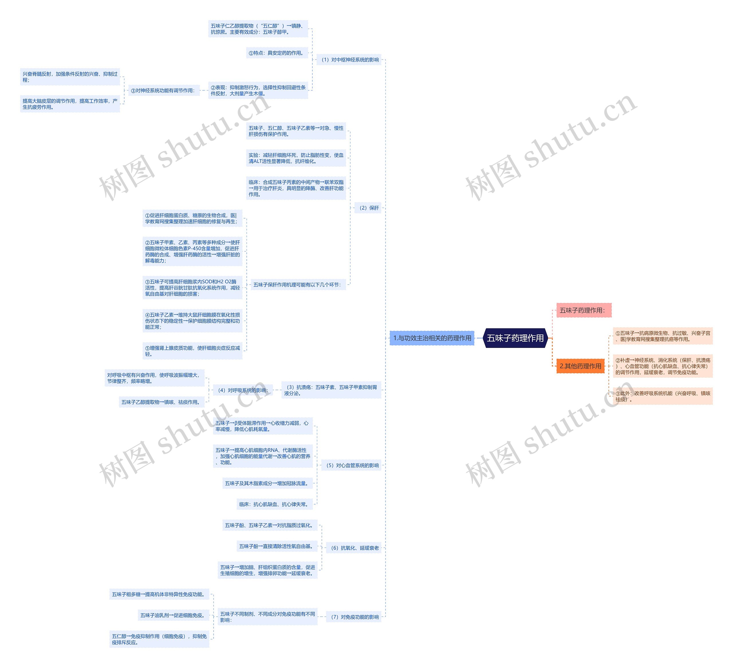 五味子药理作用思维导图