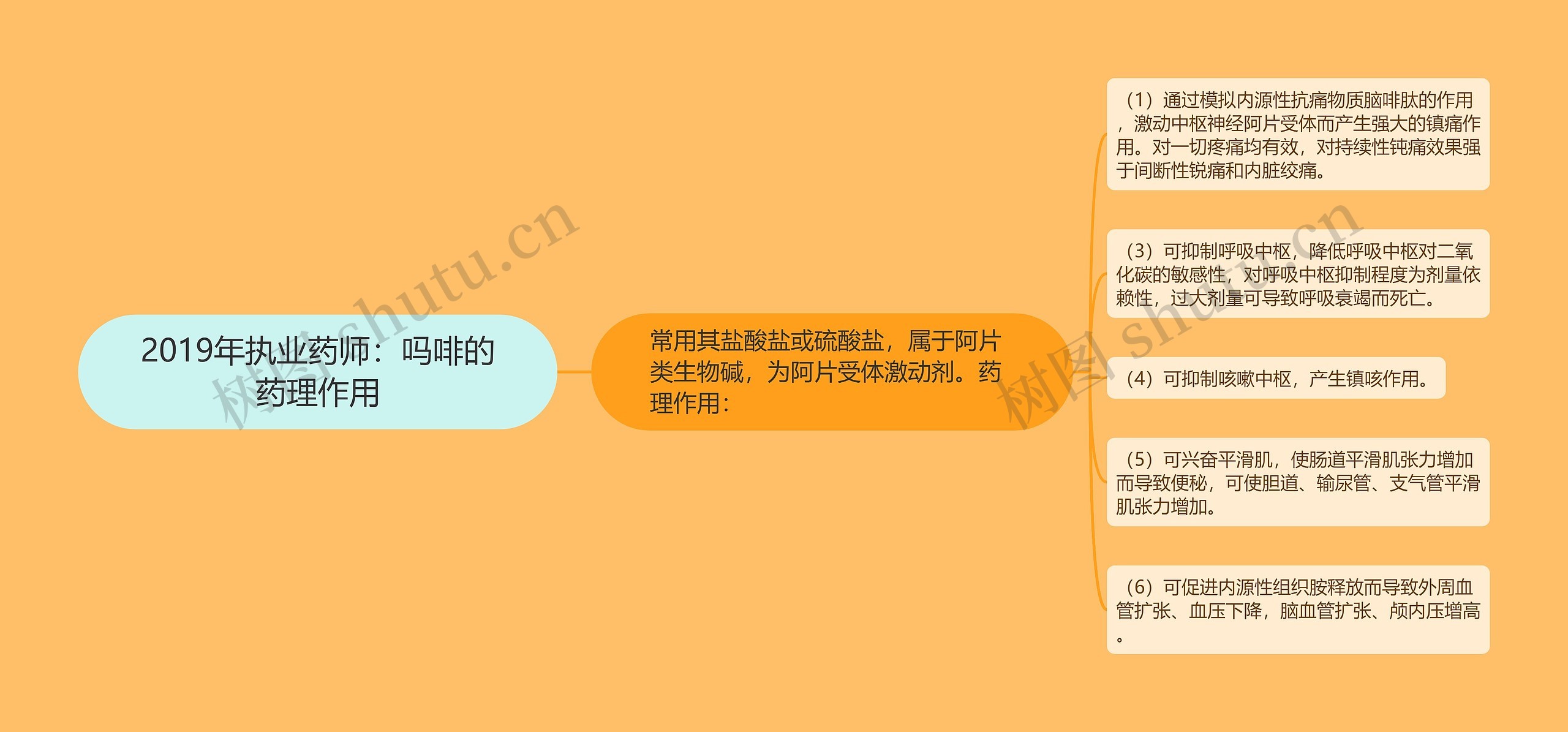 2019年执业药师：吗啡的药理作用