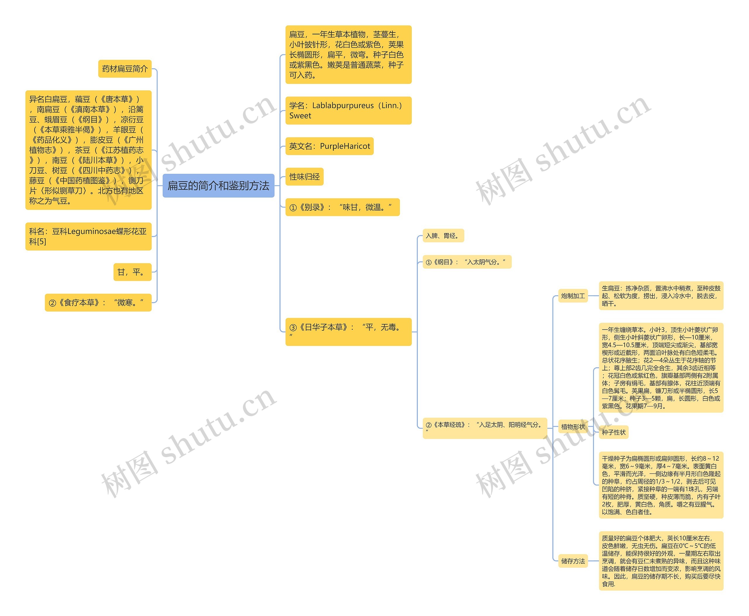 扁豆的简介和鉴别方法思维导图高清图 扁豆的简介和鉴别方法思维导图