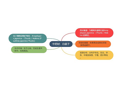 中药材：白蔹子思维导图