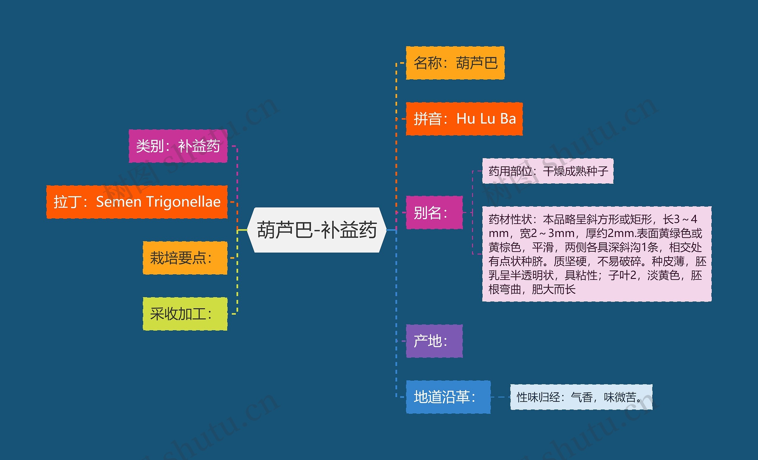 葫芦巴-补益药思维导图