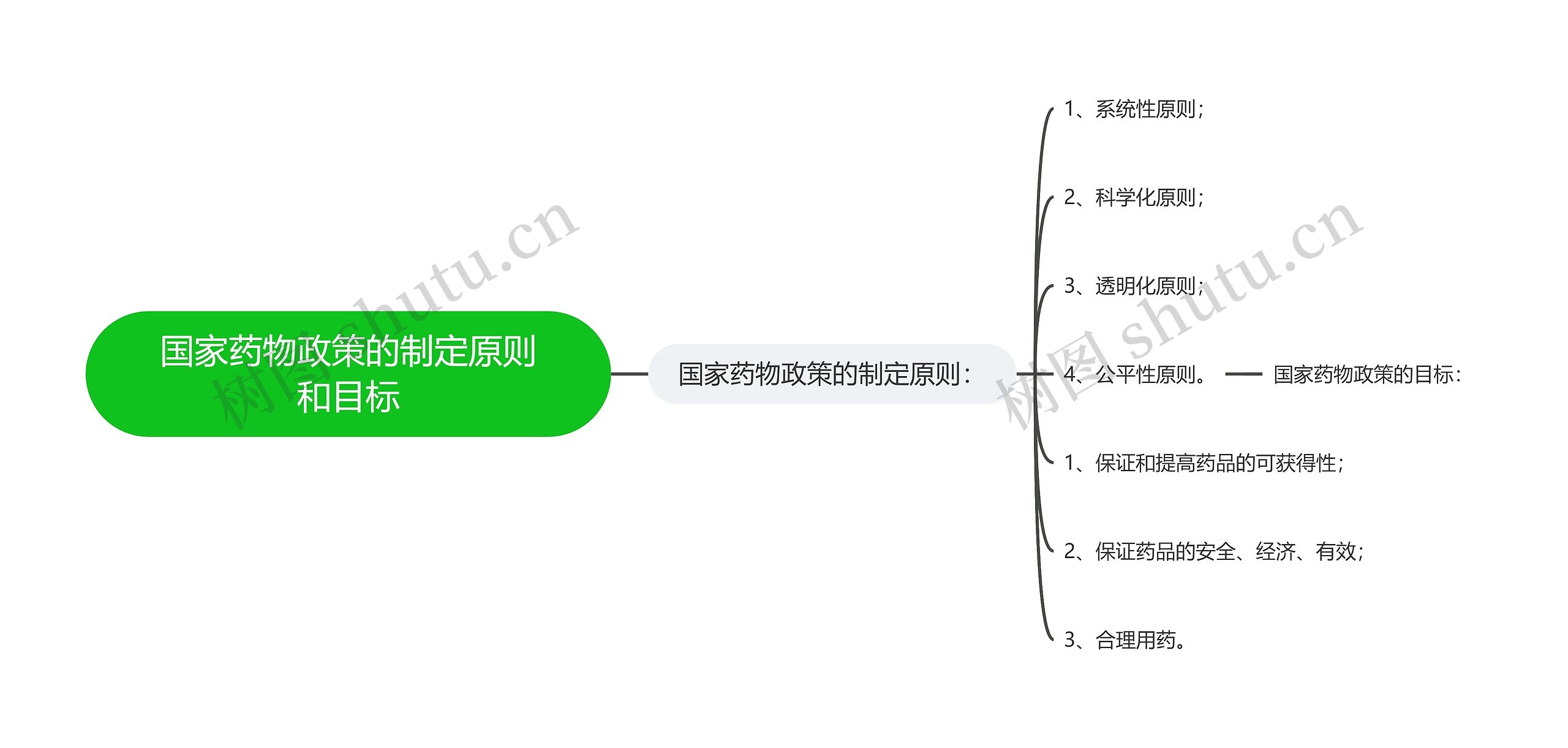 国家药物政策的制定原则和目标