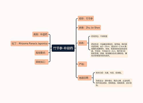 竹节参-补益药