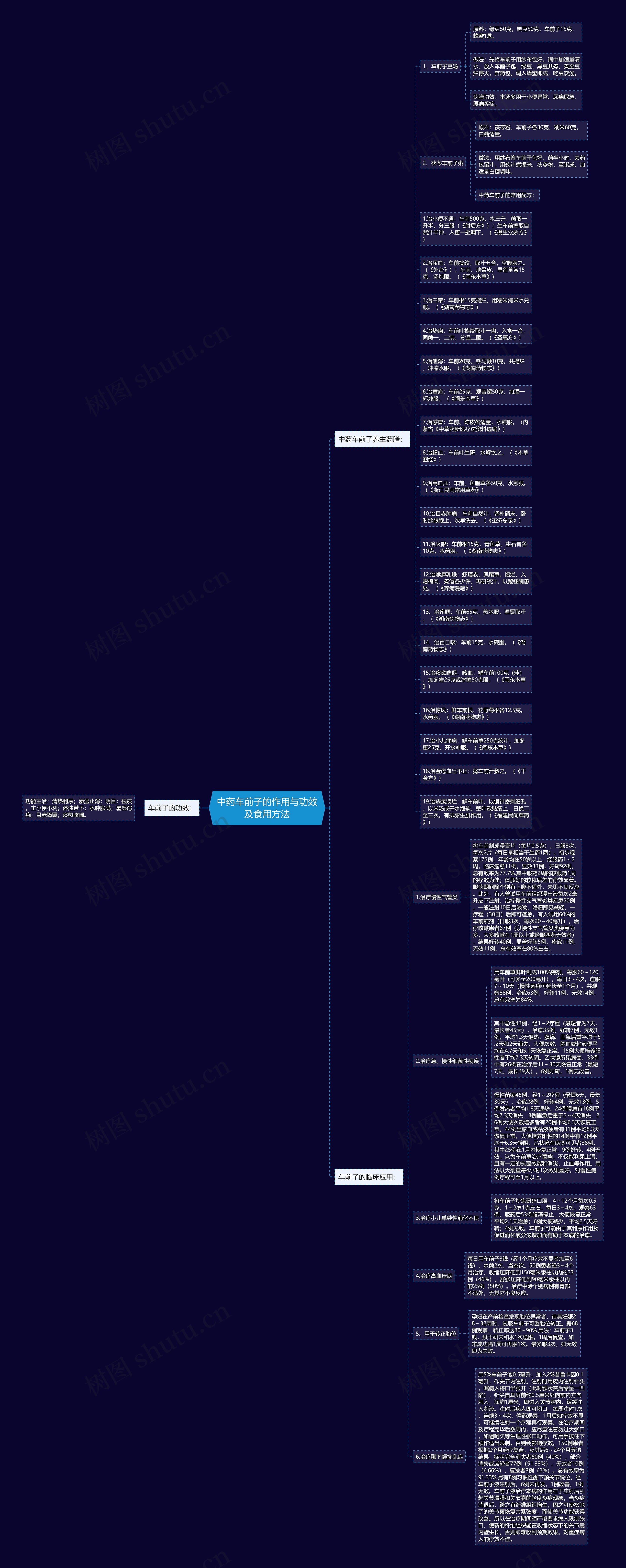 中药车前子的作用与功效及食用方法思维导图