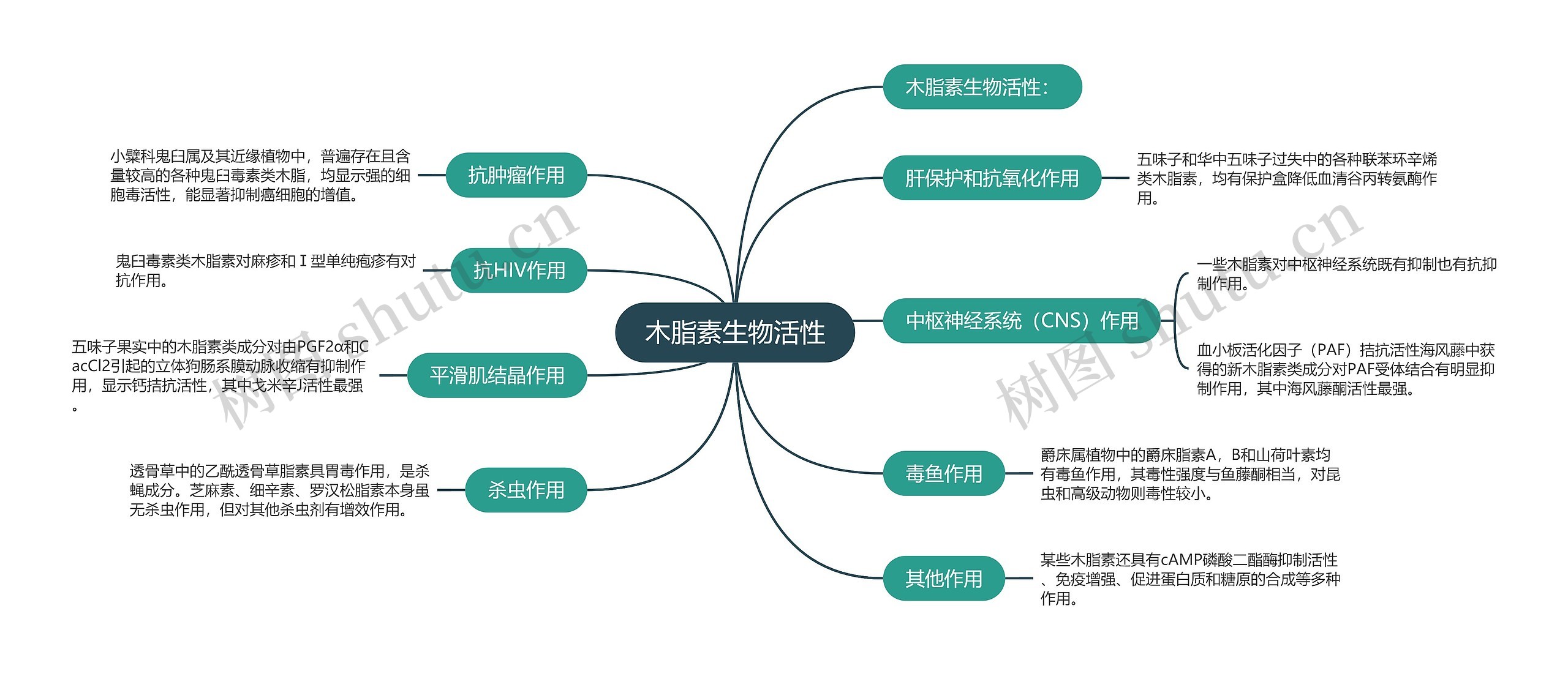 木脂素生物活性