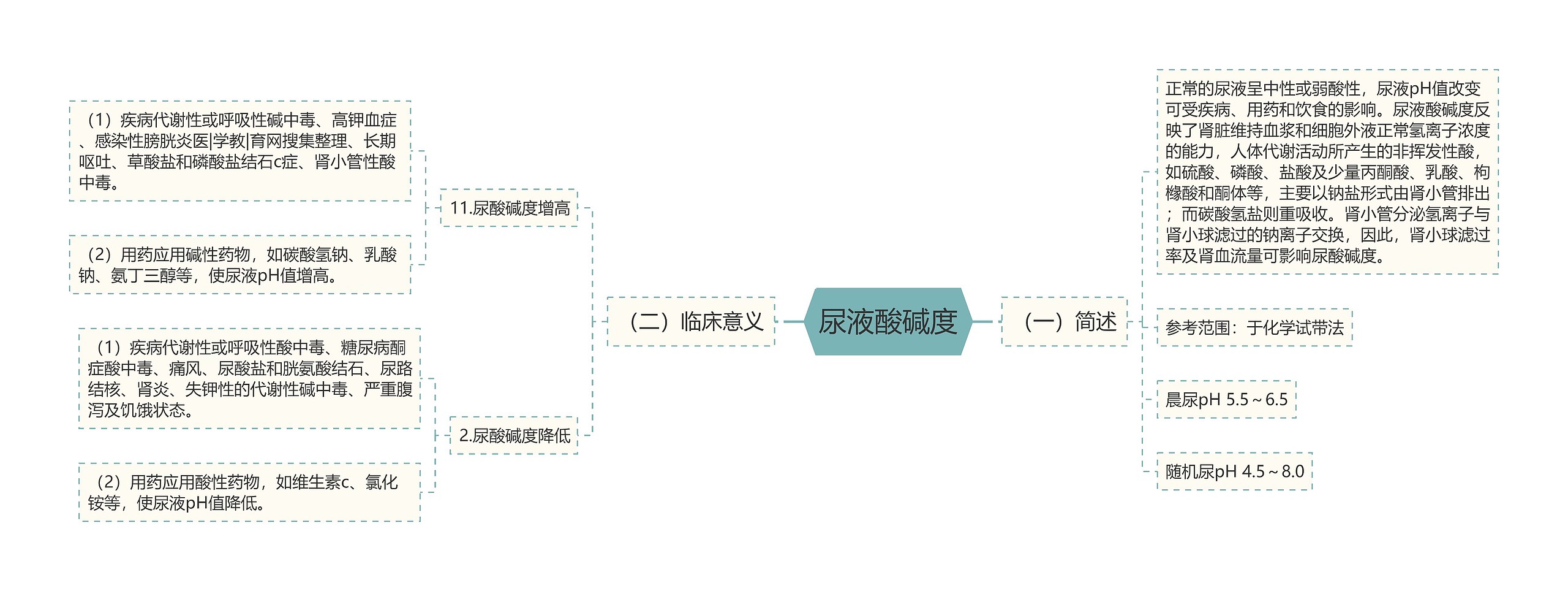 尿液酸碱度思维导图