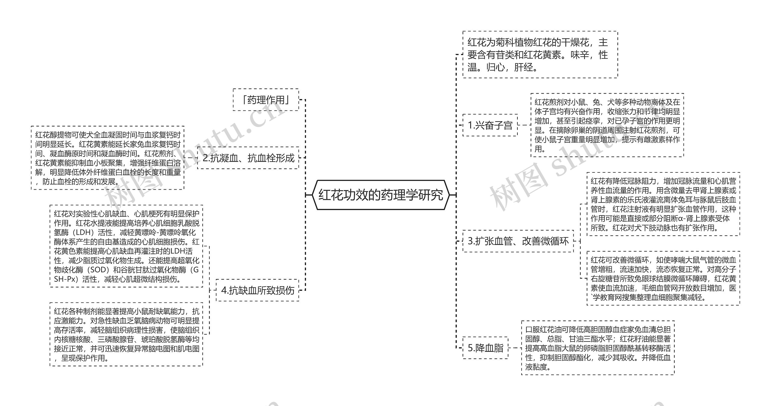 红花功效的药理学研究思维导图